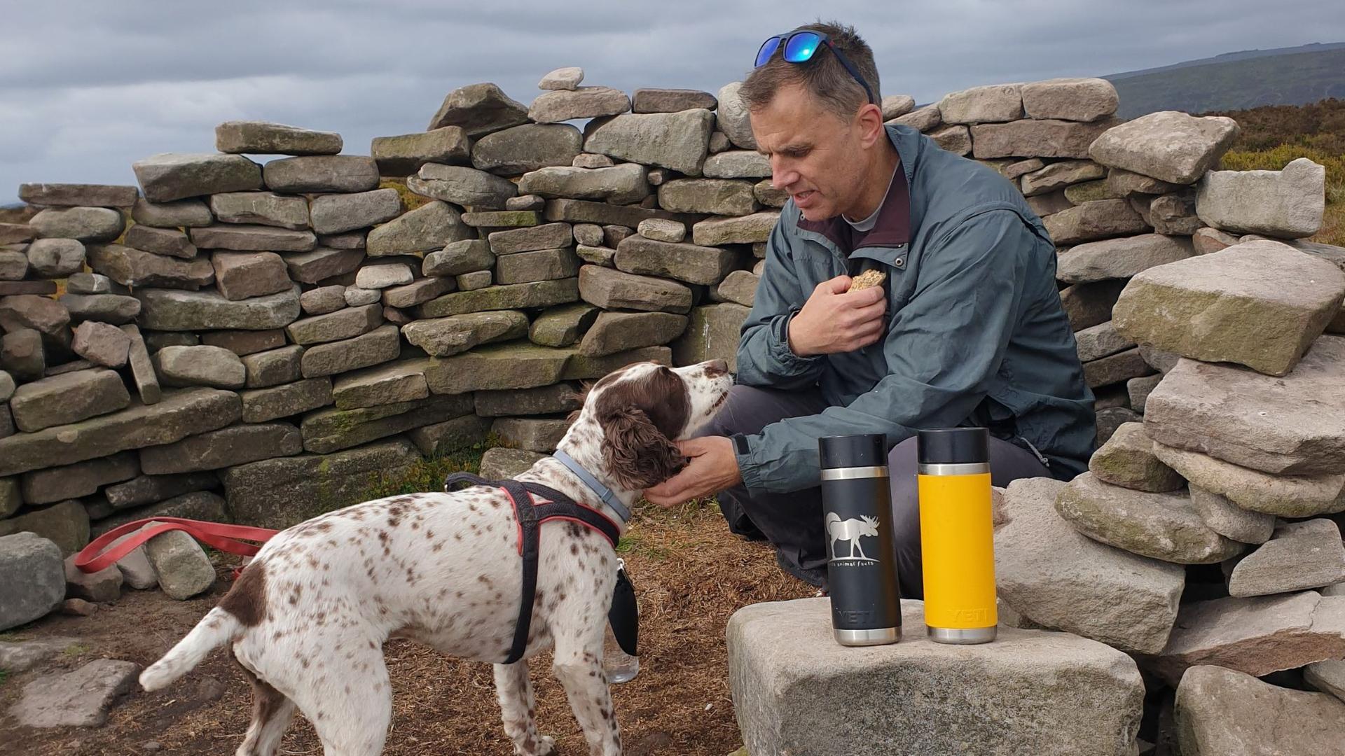 Tea break break on a dog walk