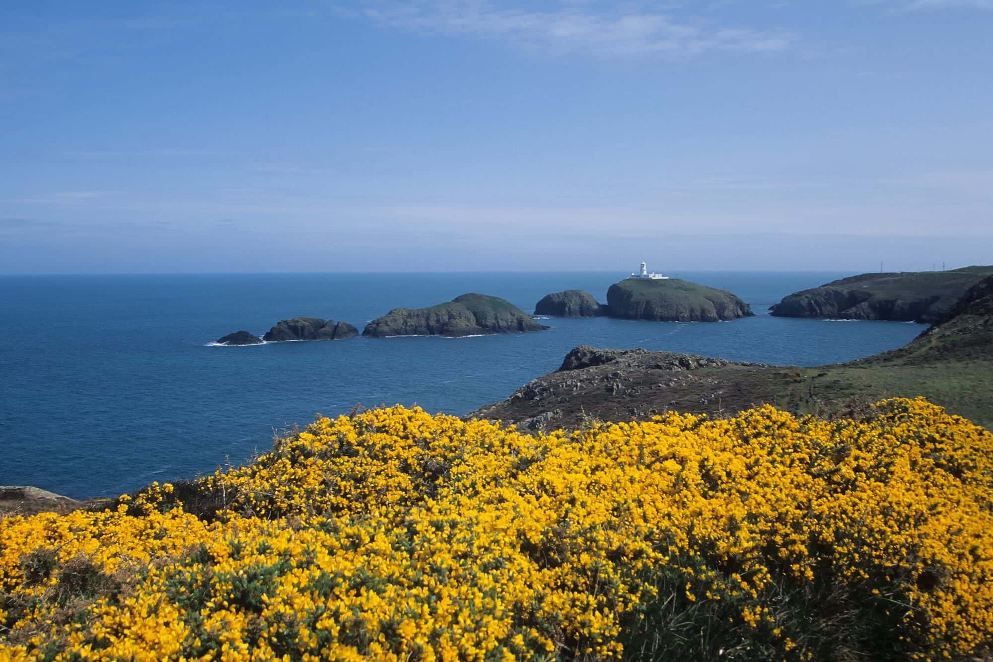 Pembrokeshire Coast Path view out to lighthouse on rocks