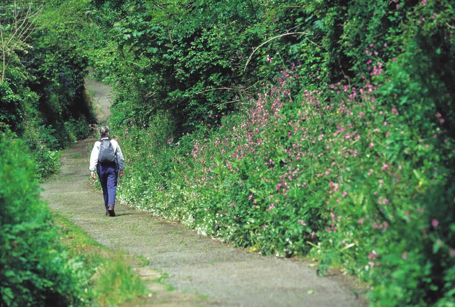 Country Walking in England