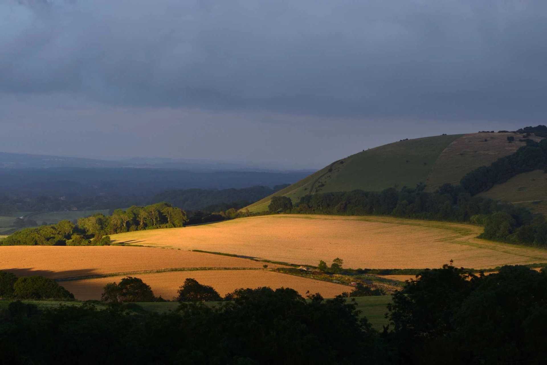Looking to the South while approaching Beacon Hill on the South Down Way near Harting Down, North of Chichester.