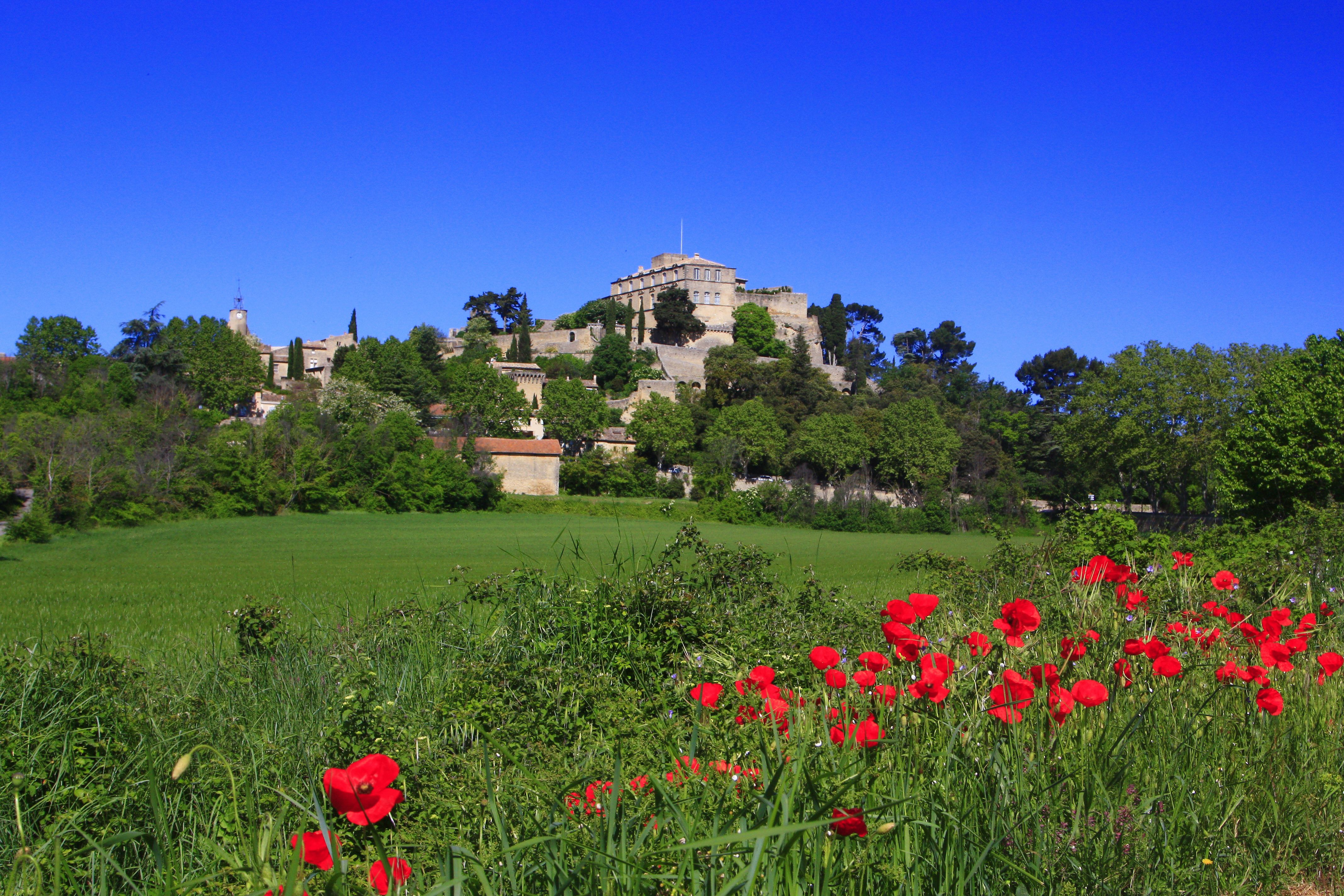 Le Barroux village surrounded by vineyards and limestone hills