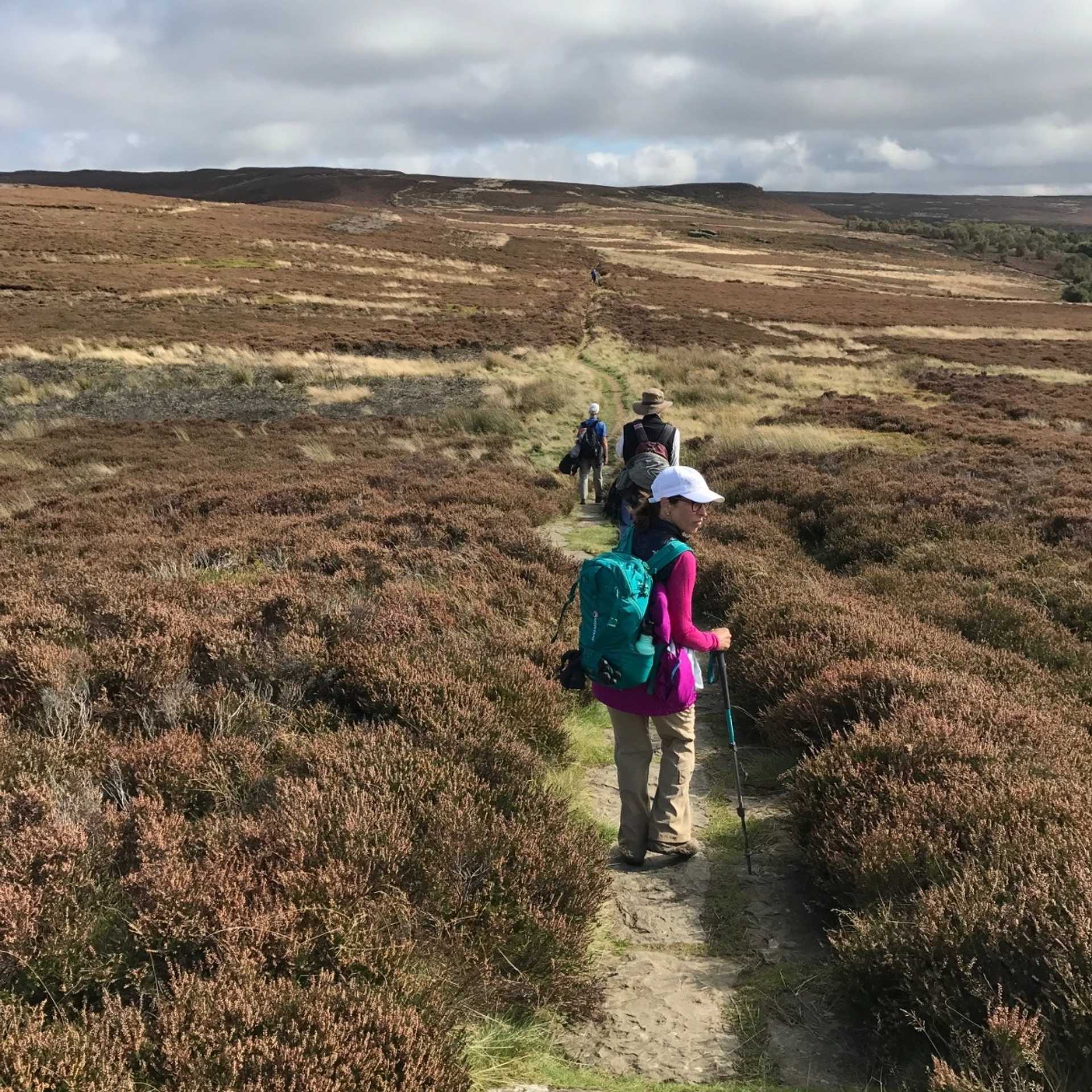 Hikers walking Wainwright's Coast to Coast