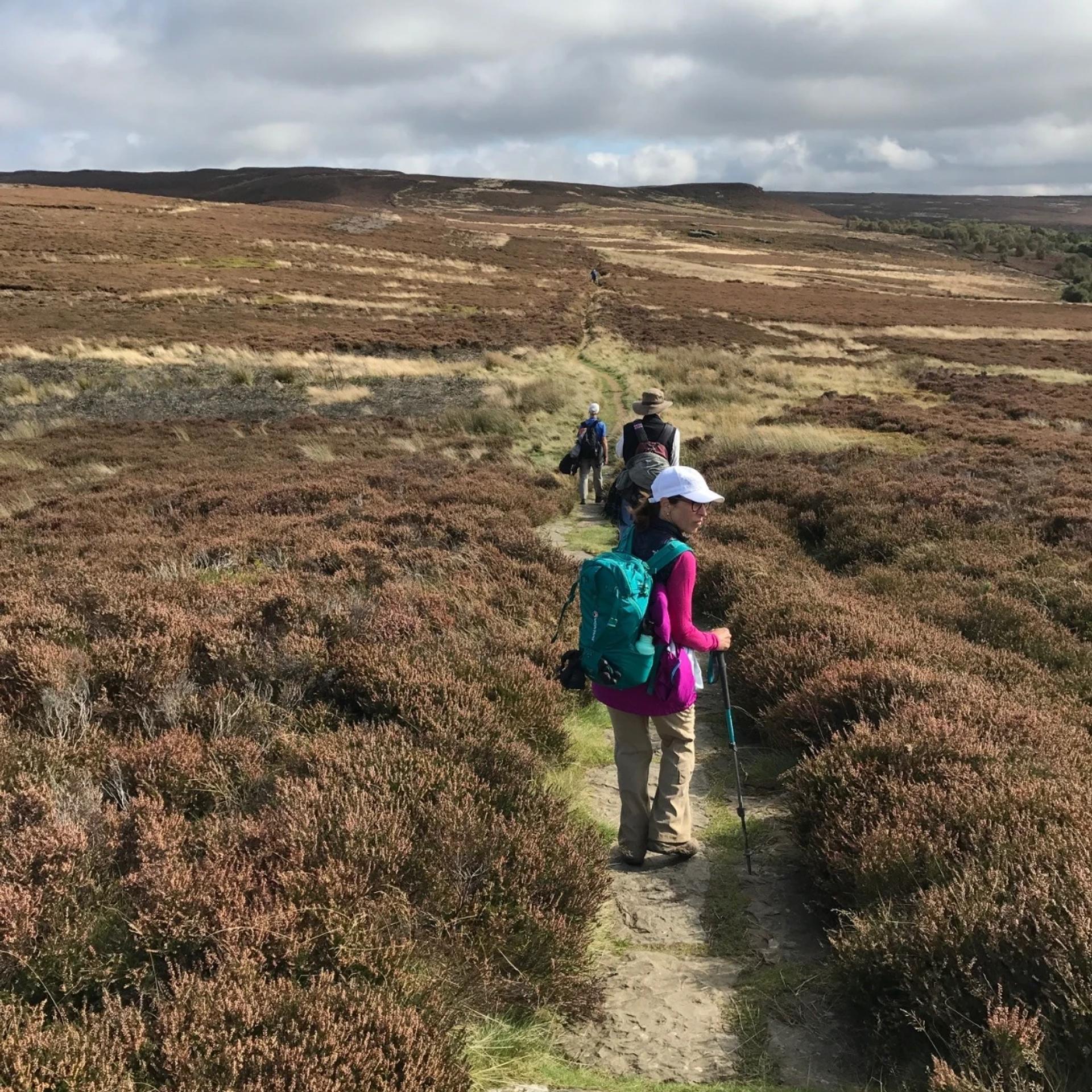 Hikers walking Wainwright's Coast to Coast