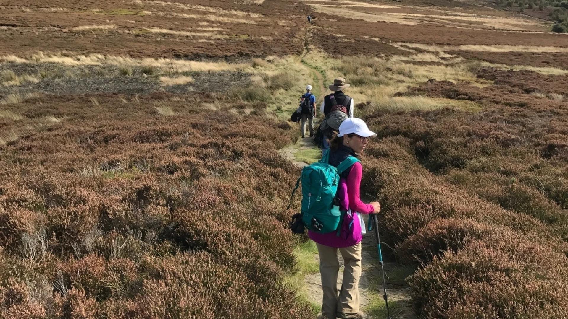 Hikers walking Wainwright's Coast to Coast