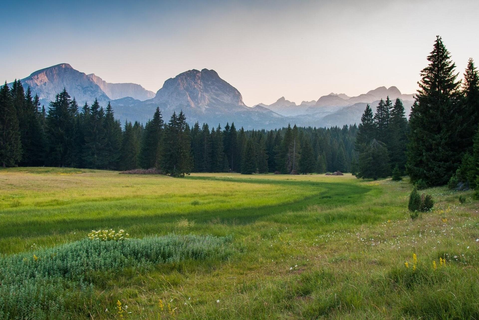 Dramatic Vistas of Montenegro's Coast and Country