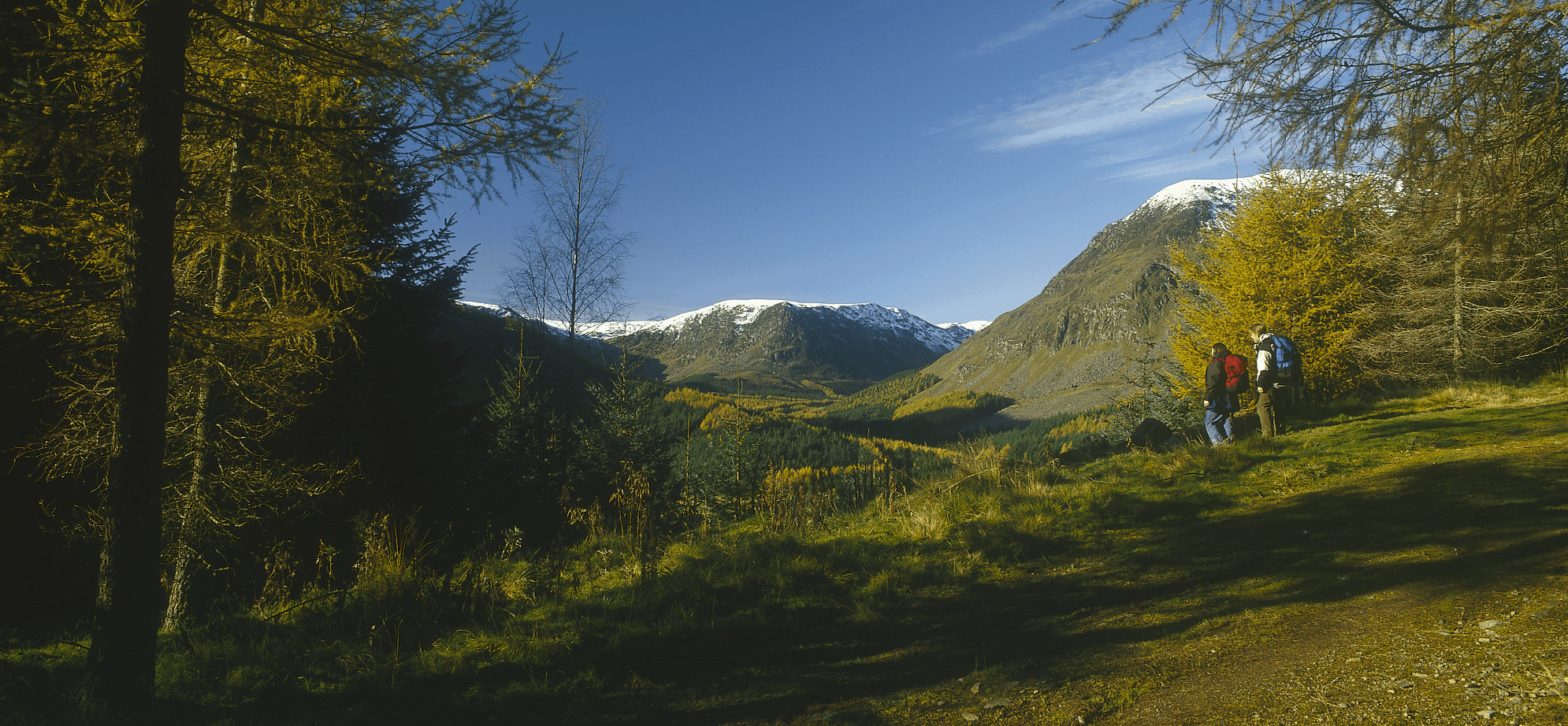 Perth and Kinross Countryside