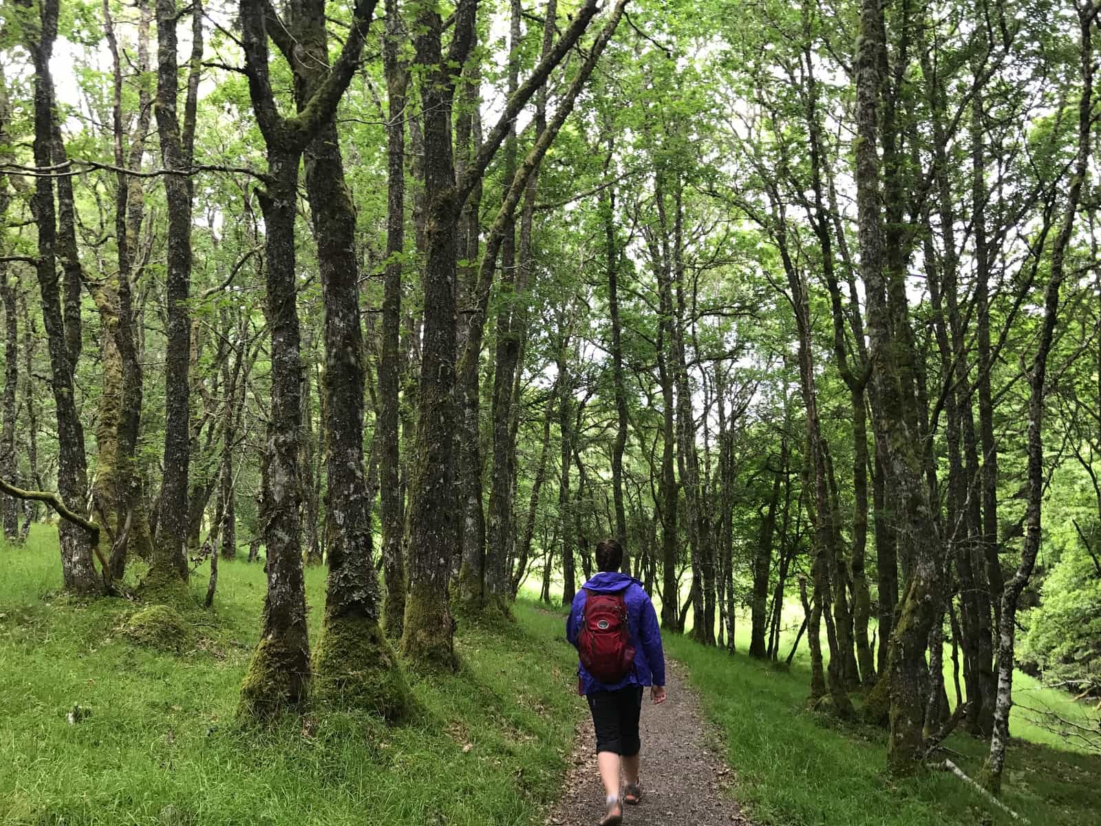 Invermoriston to Drumnadrochit, The Great Glen Way Active holidays