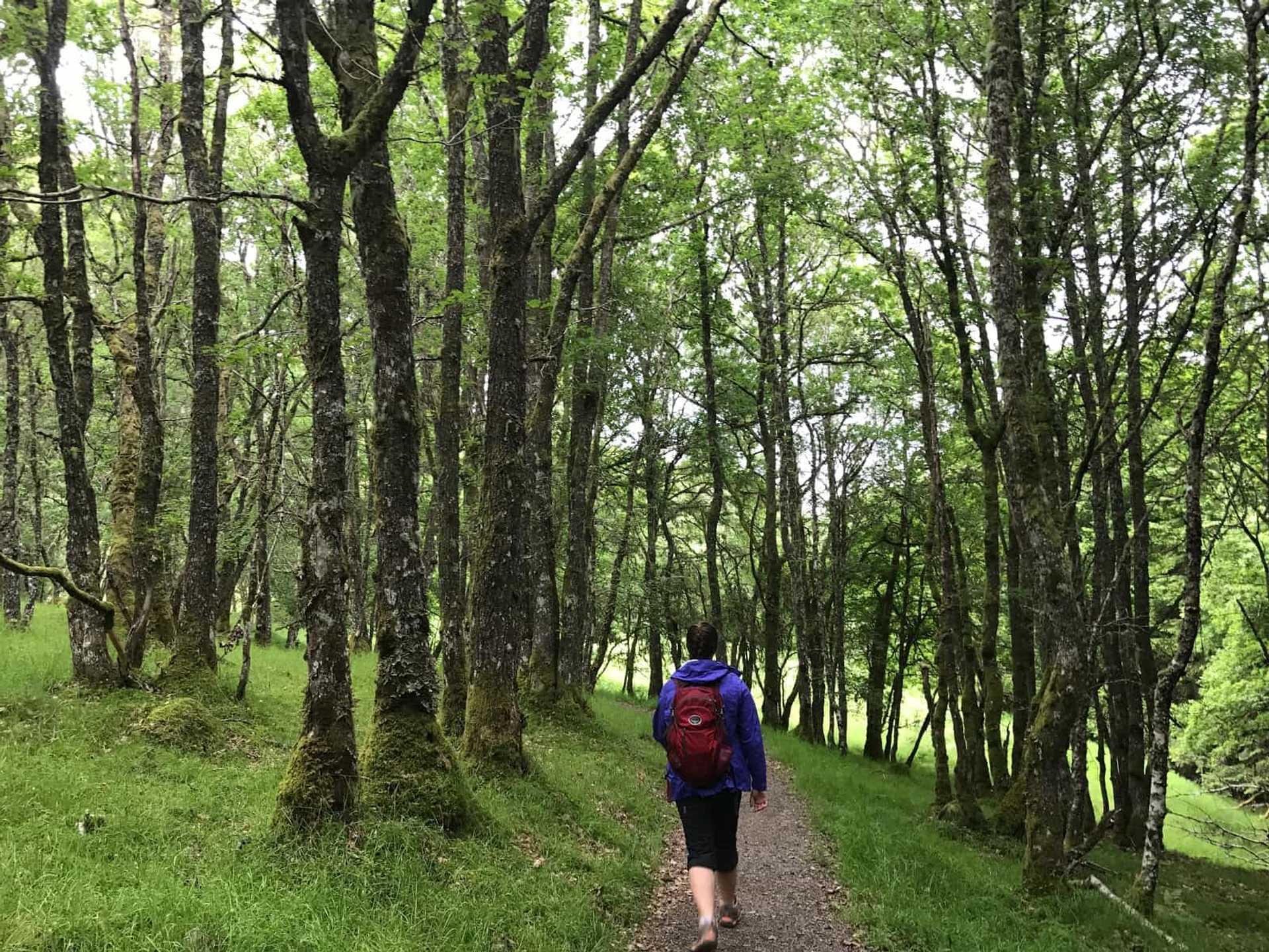 Invermoriston to Drumnadrochit, The Great Glen Way Active holidays