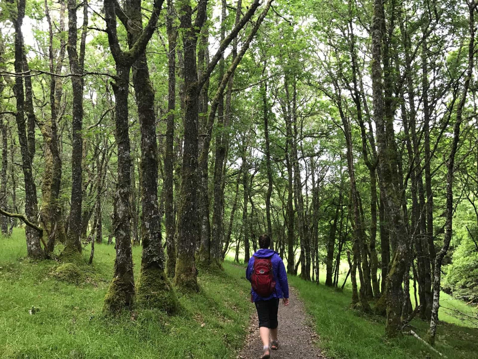 Invermoriston to Drumnadrochit, The Great Glen Way Active holidays