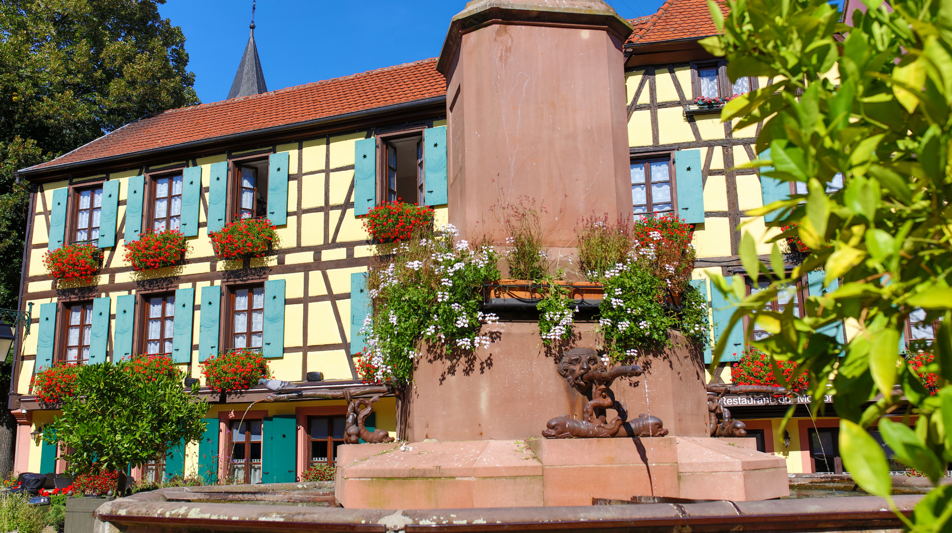 Traditional half-timbered buildings in Ribeauvillé