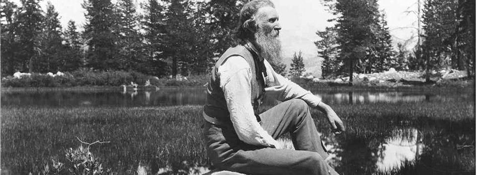 Celtic Trails Walking Holidays