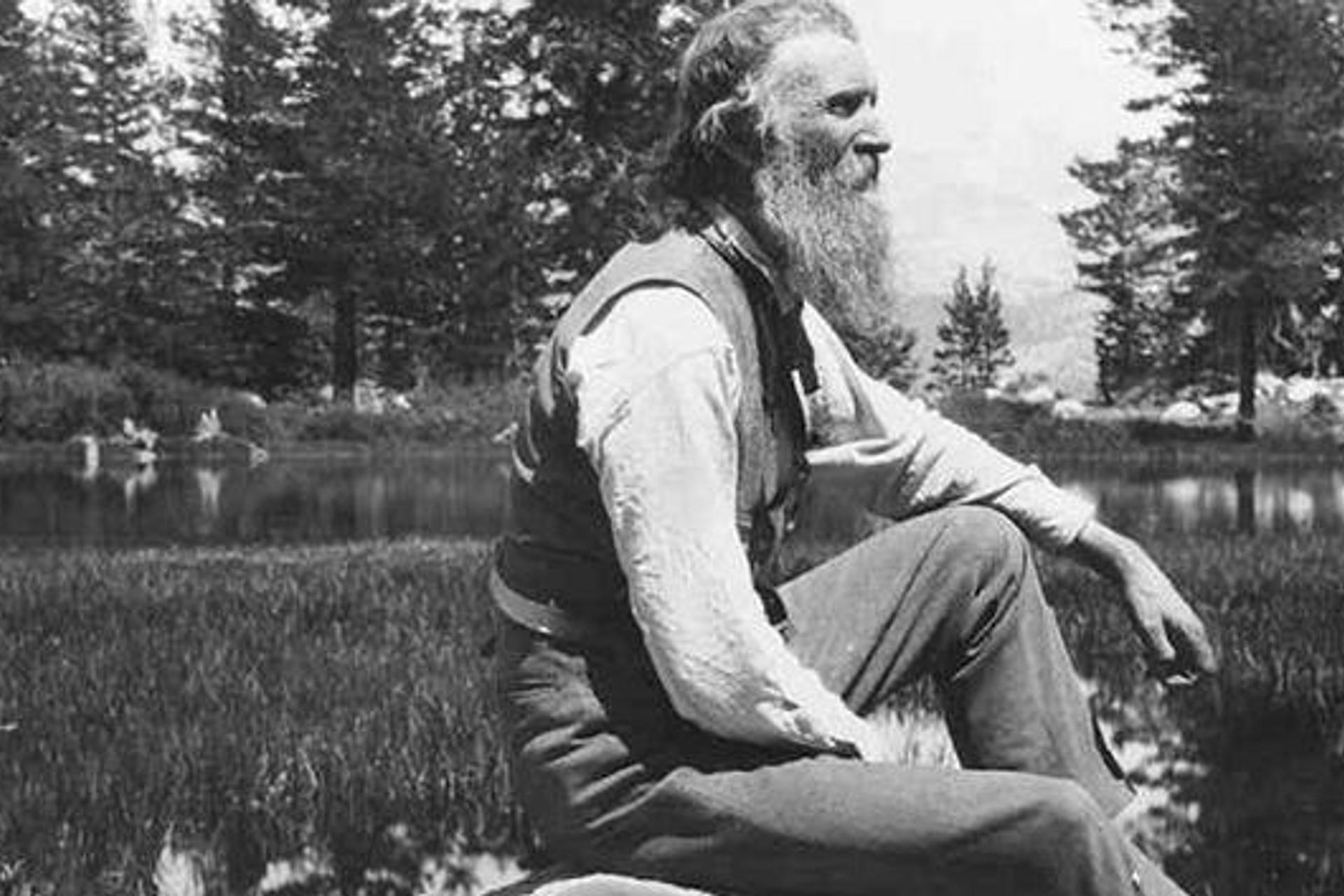 Celtic Trails Walking Holidays