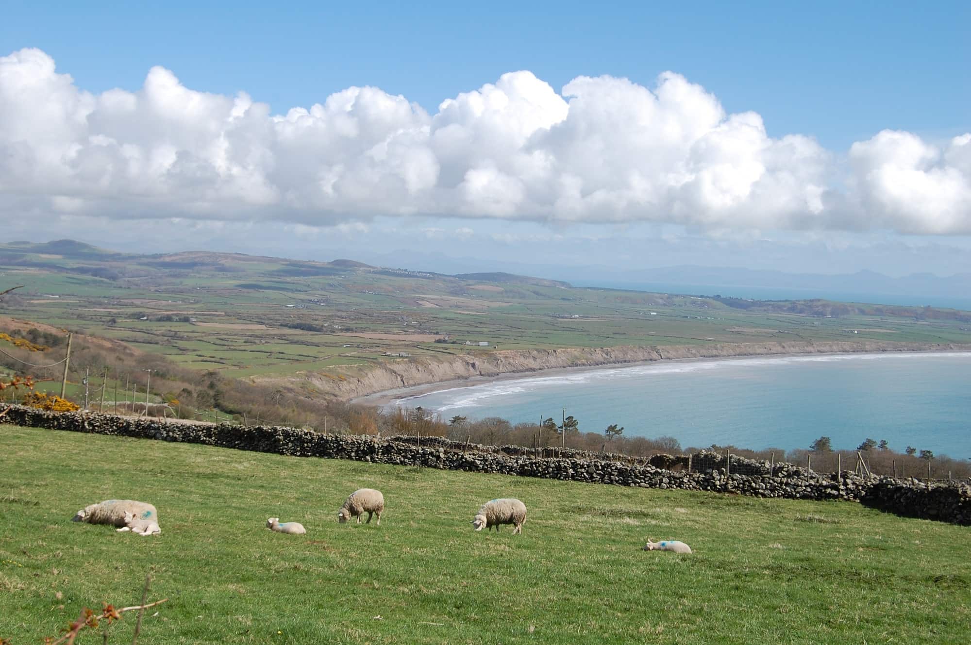 holidays in west wales