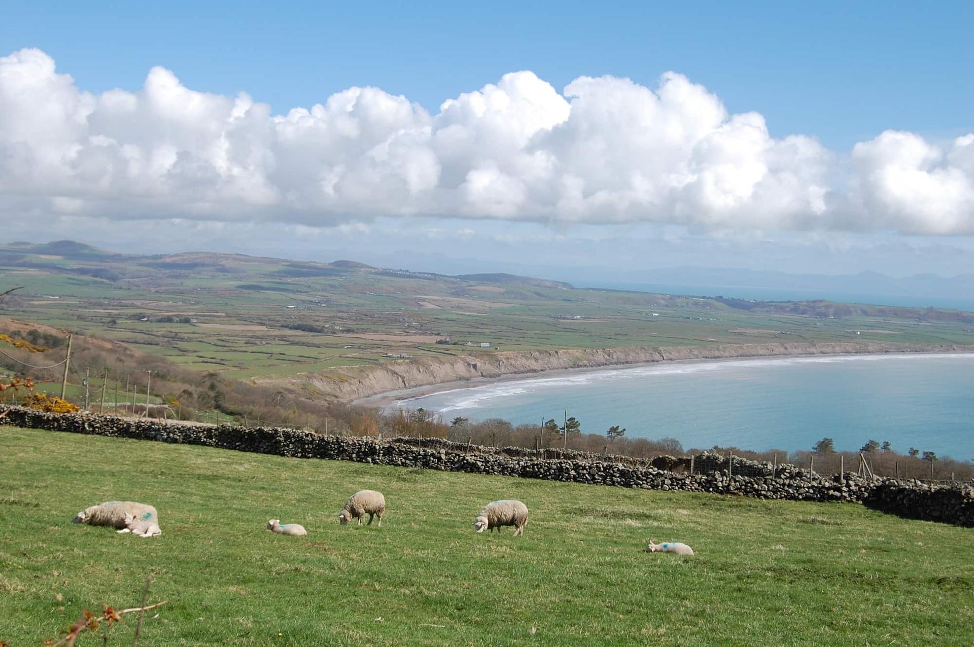 holidays in west wales