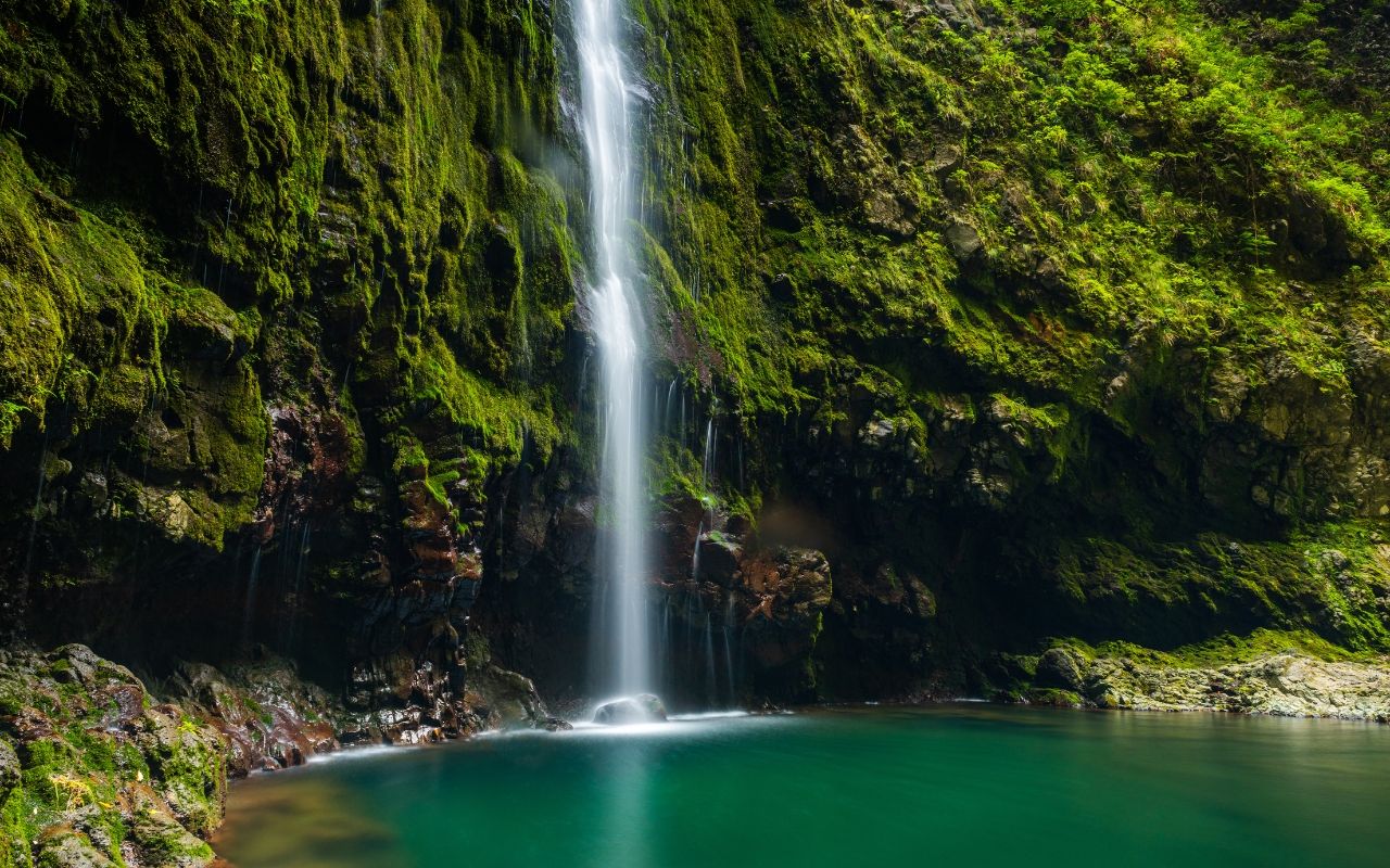 Waterfall in Madeira's laurel forest