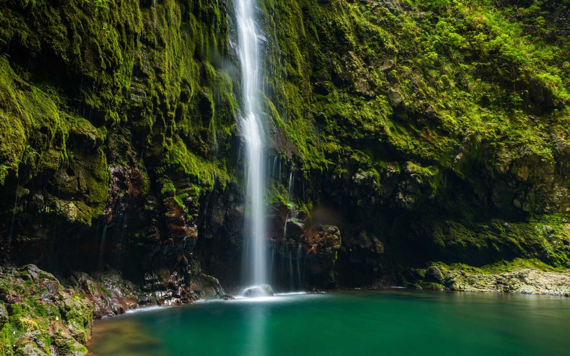 Waterfall in Madeira's laurel forest