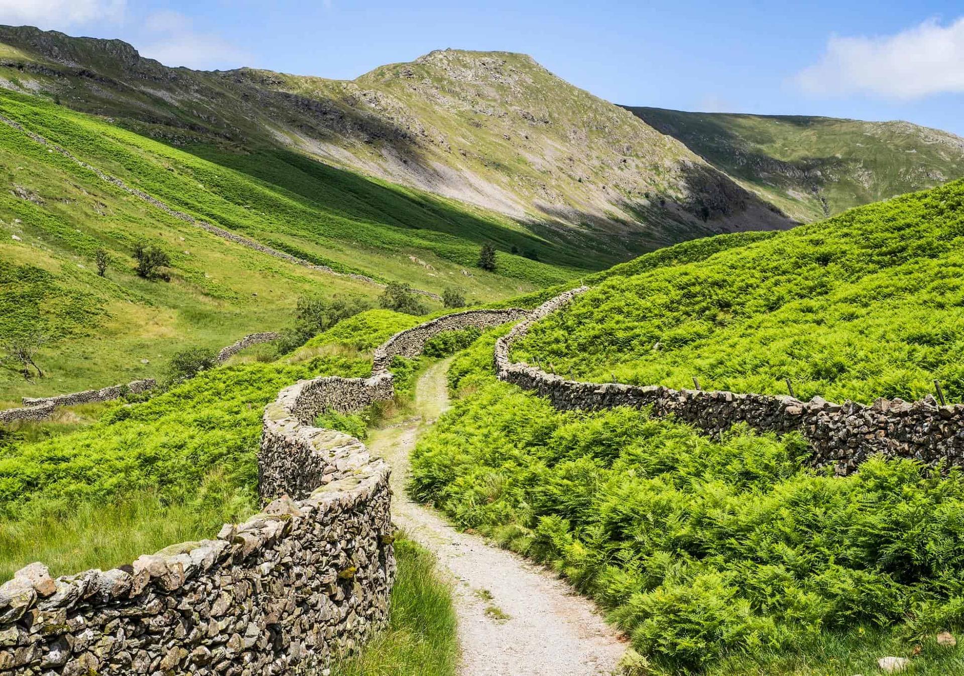 Lakeland Yorkshire