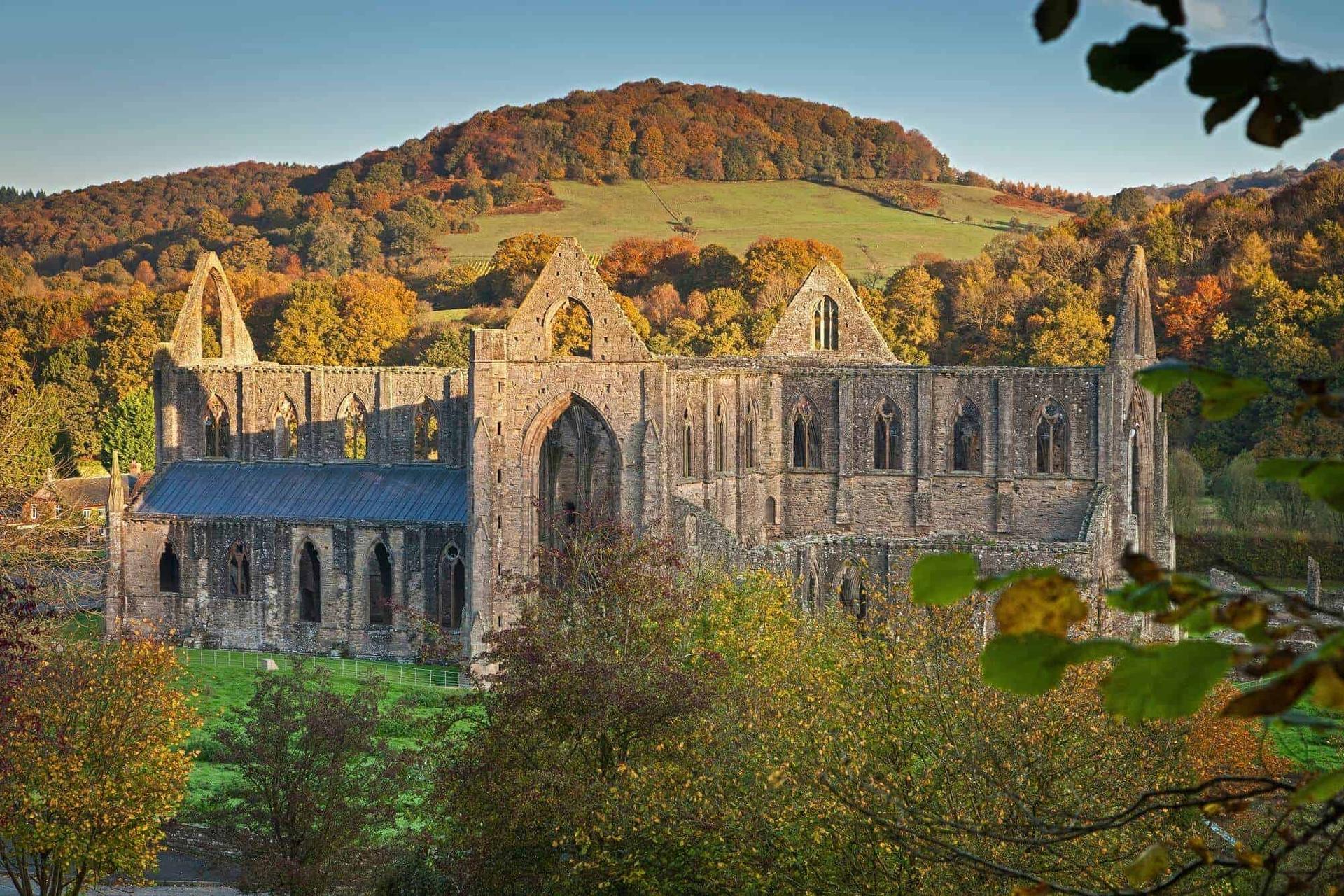Autumn view of Tintern Abbey