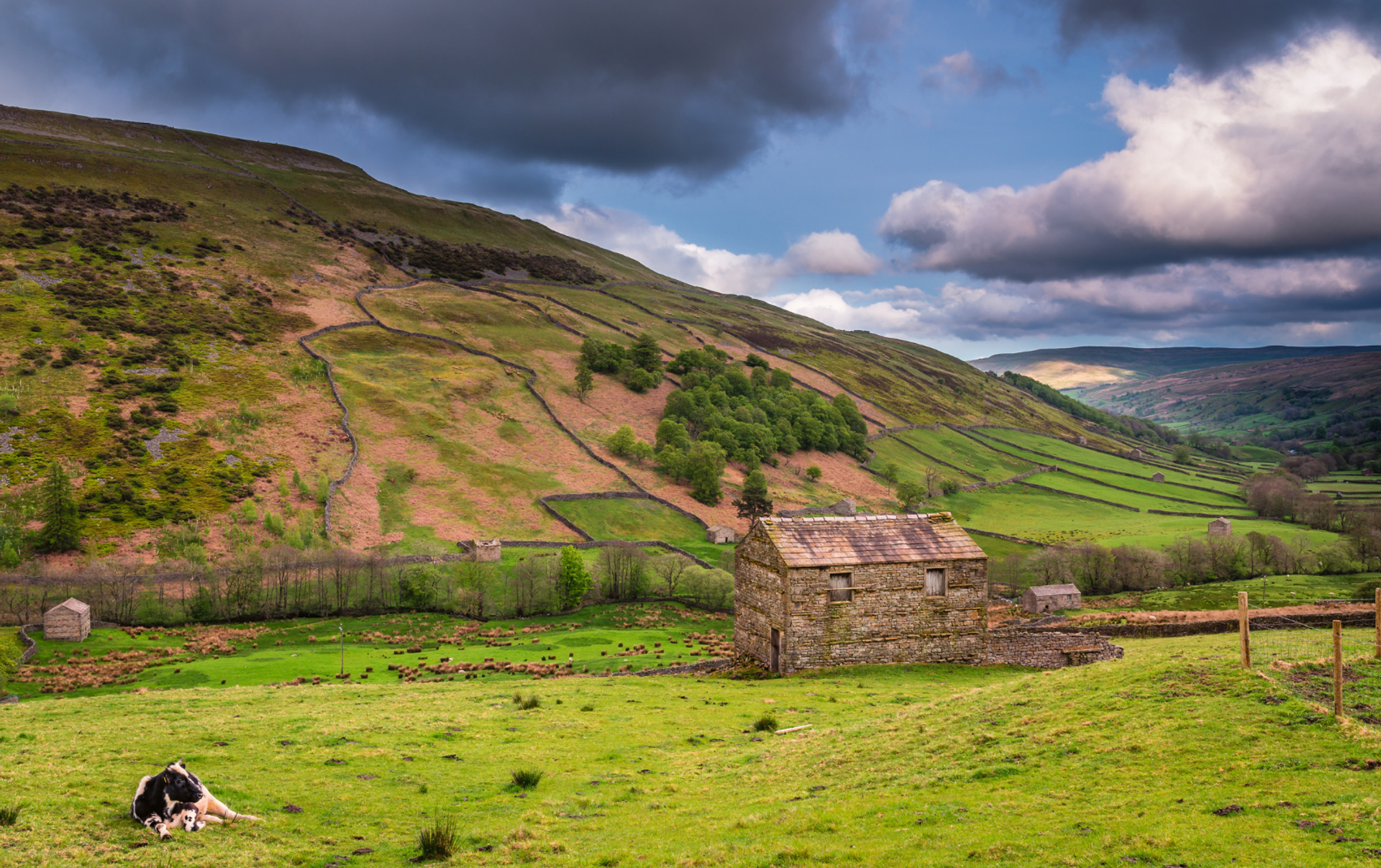 Stone barns and drystone walls in Swaledale near Keld on the Coast to Coast.