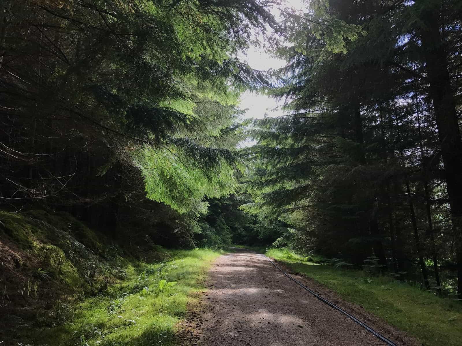 forest track Fort Augustus to Invermoriston, Hiking Holidays in Scotland