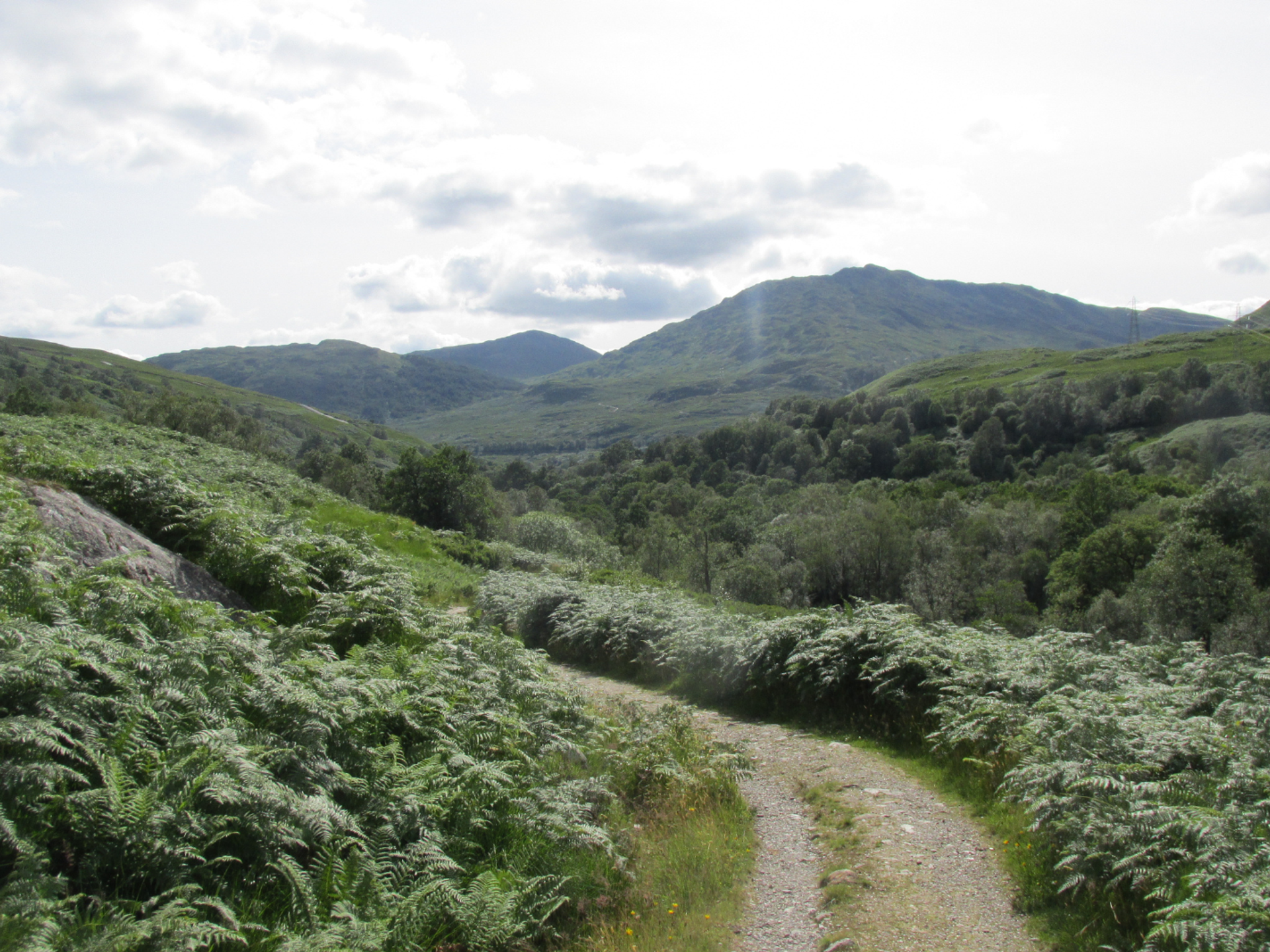Broad stony track winding through Highland hills on the West Highland Way.