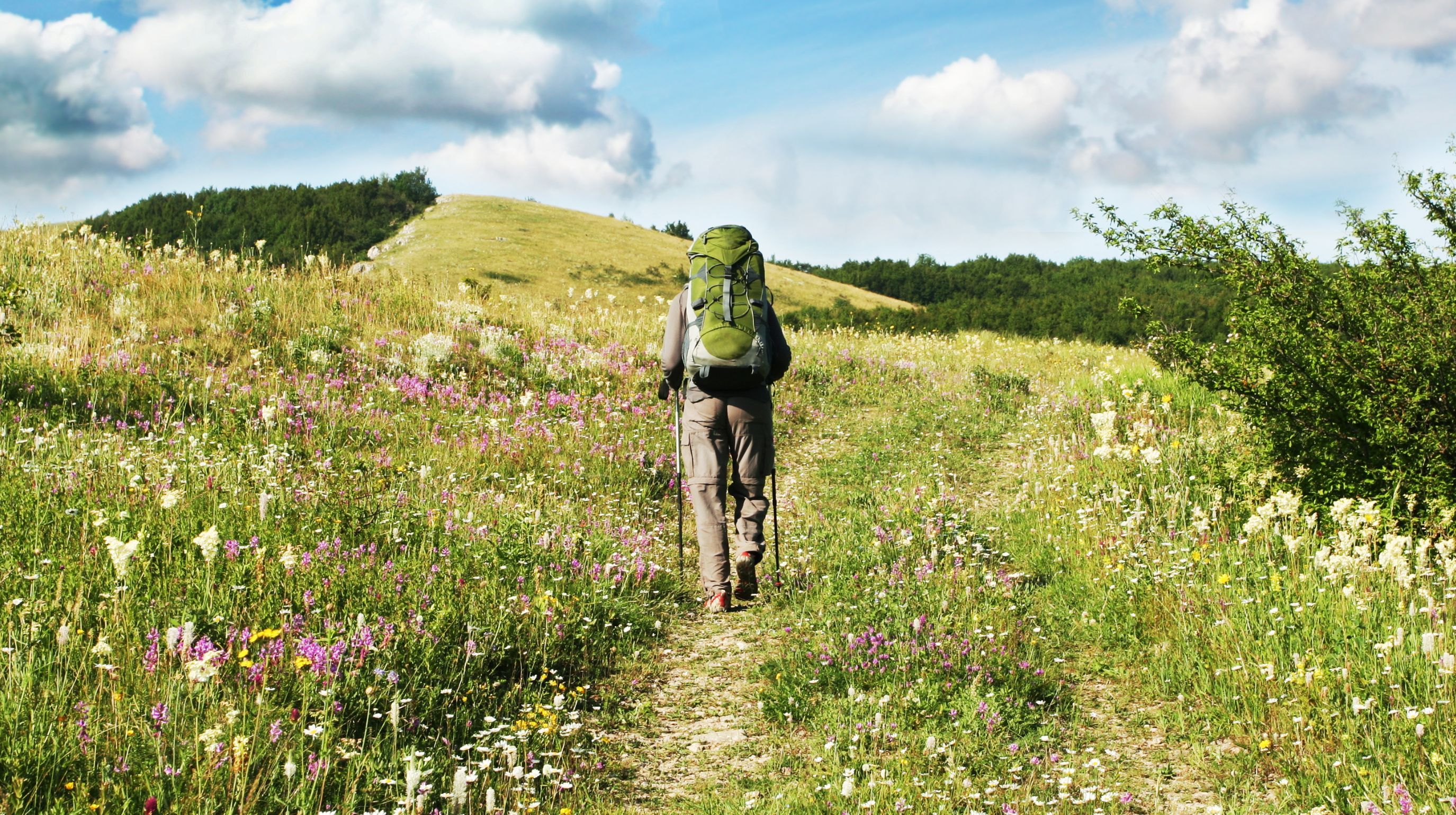 A hiker with a green backpack walks on a path through a field of wildflowers towards a tree-covered hill under a cloudy sky.