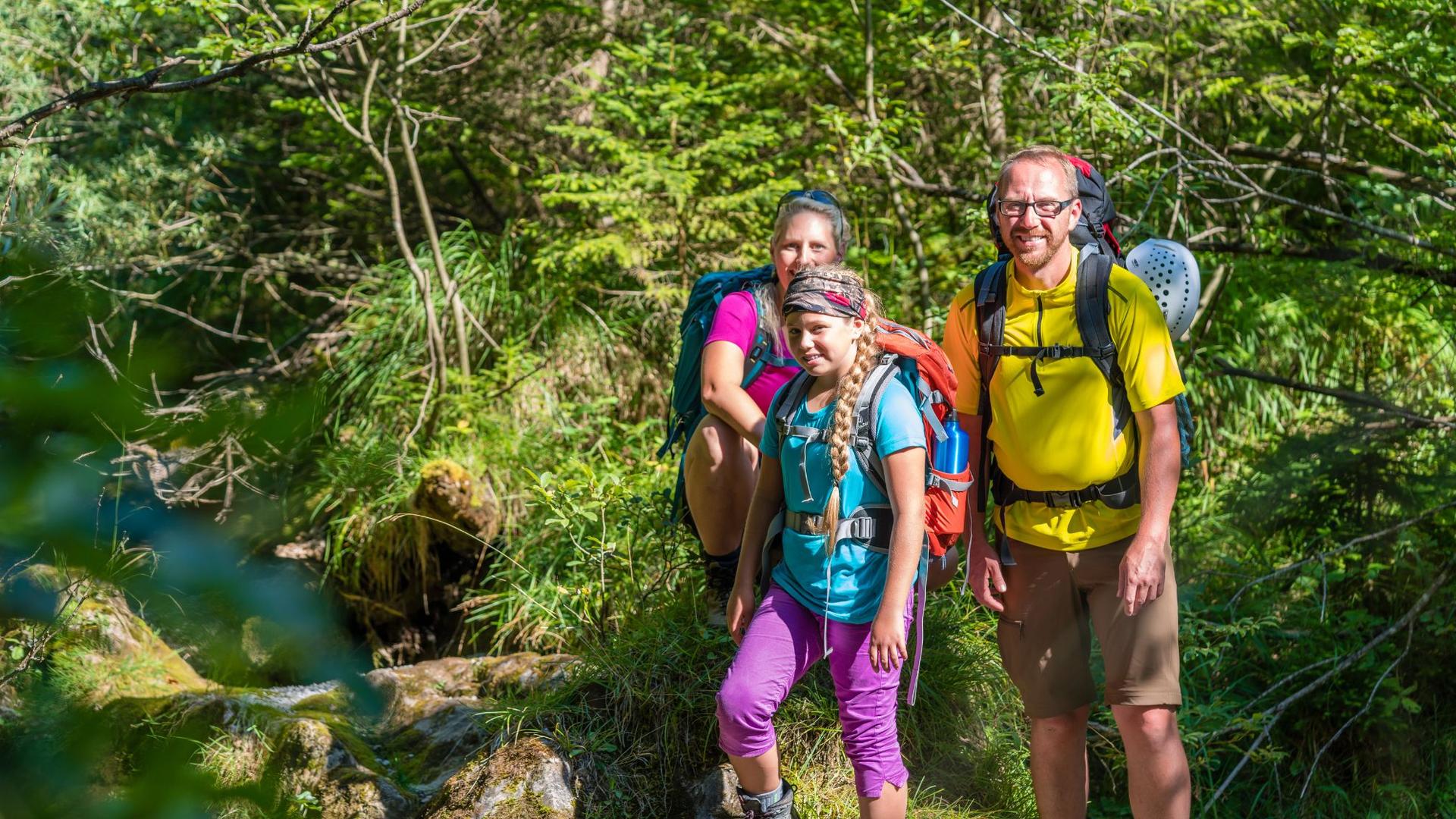 A family wearing backpacks hikes through a lush green forest with sunlight filtering through the trees.