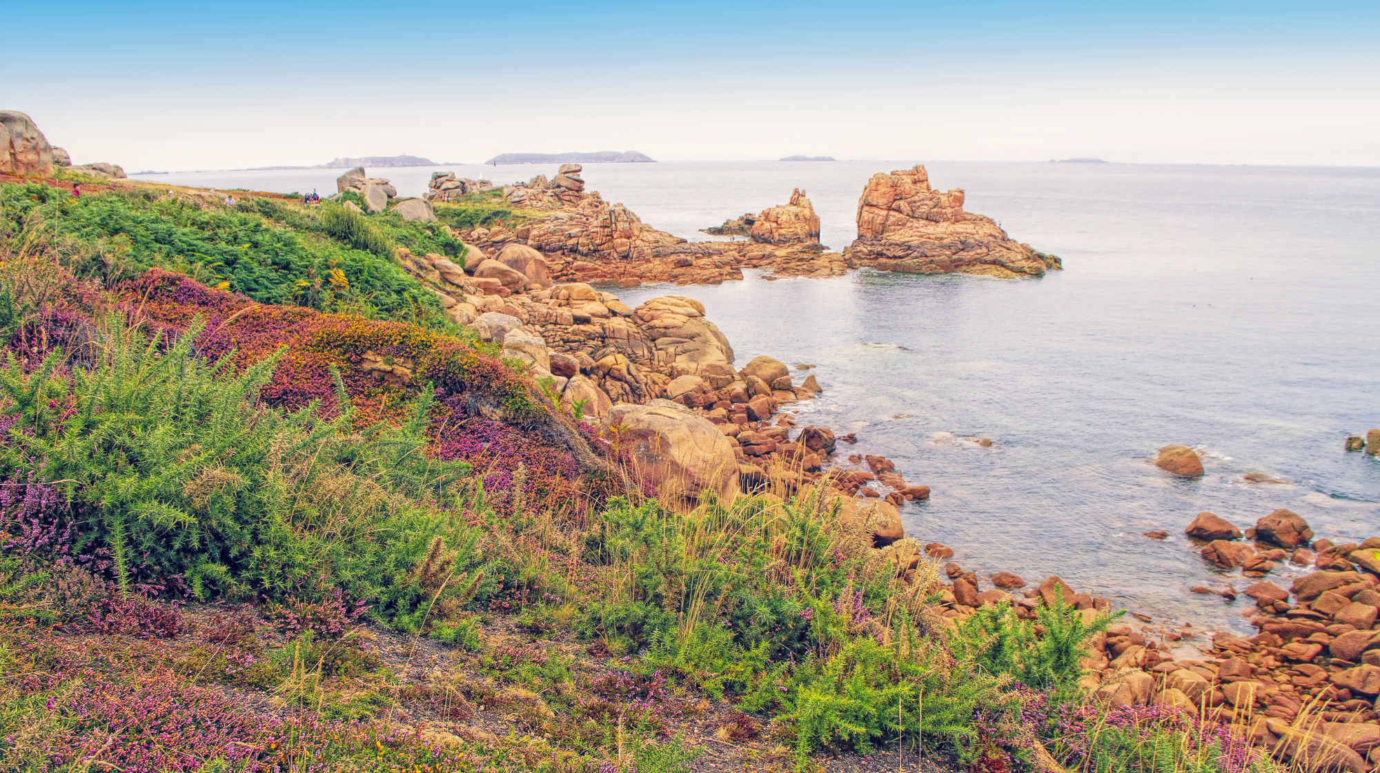 Rocky coastline and coastal vegetation near Ploumanac’h