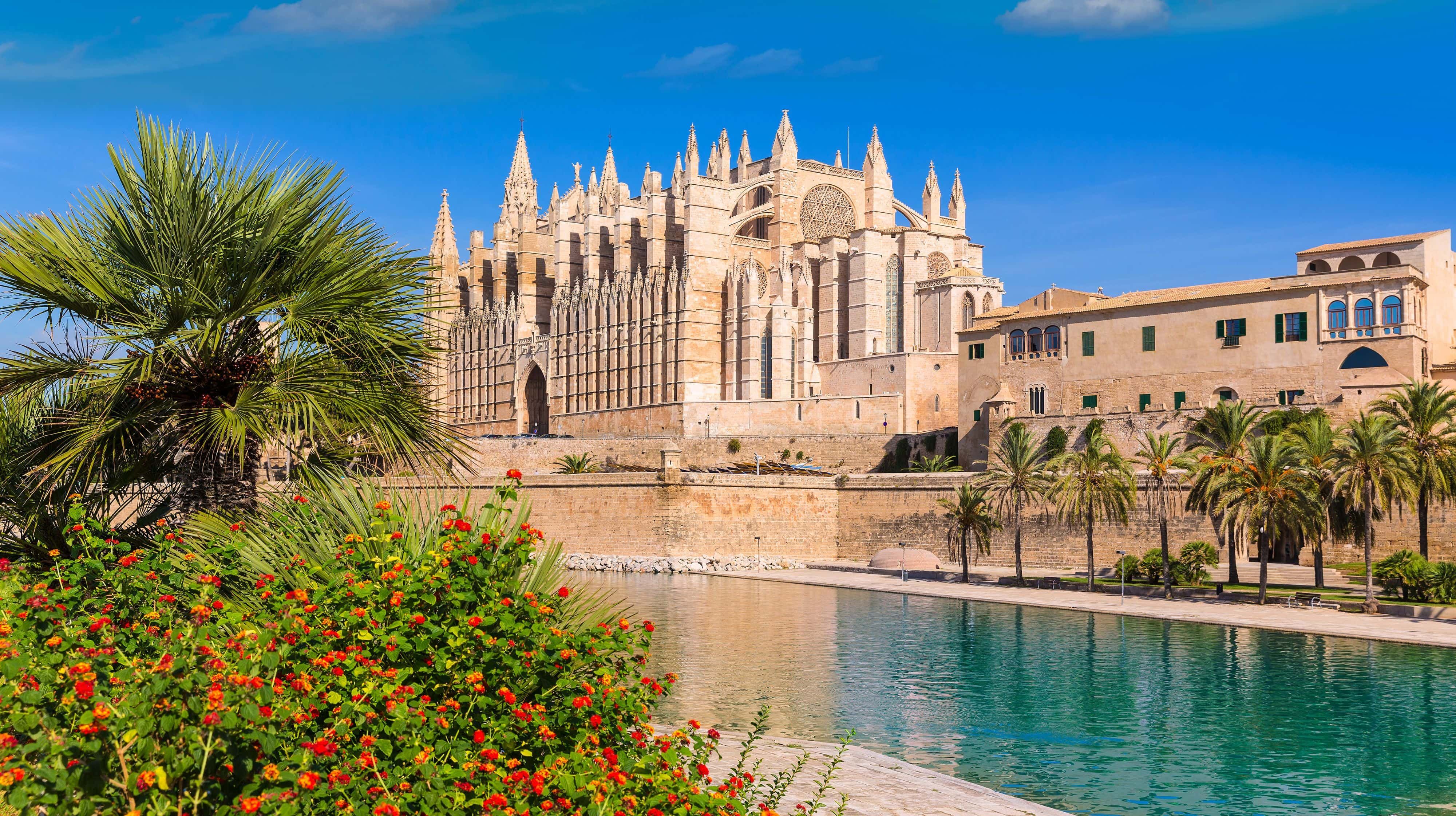 palma cathedral