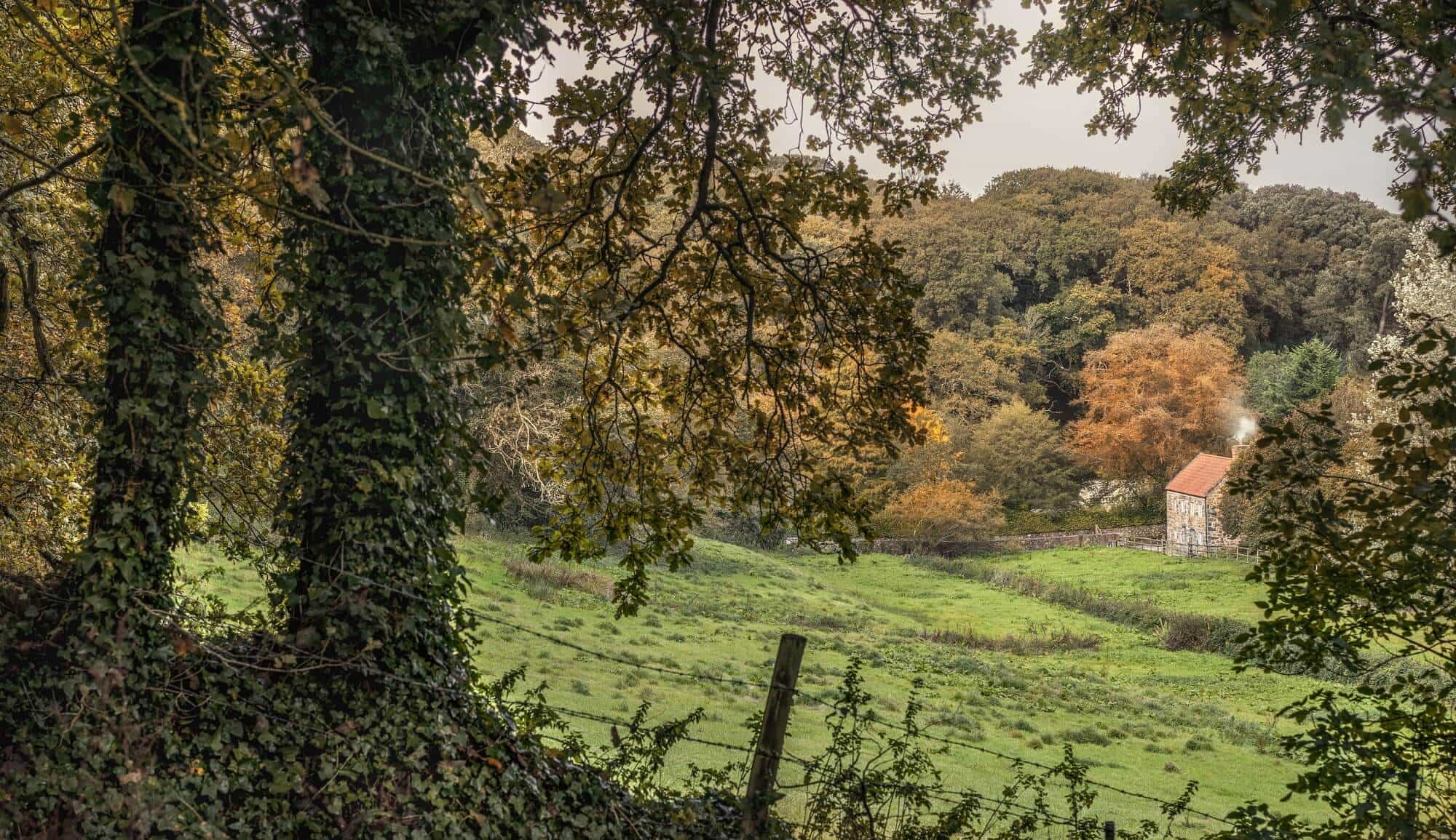 Walking Holidays in England