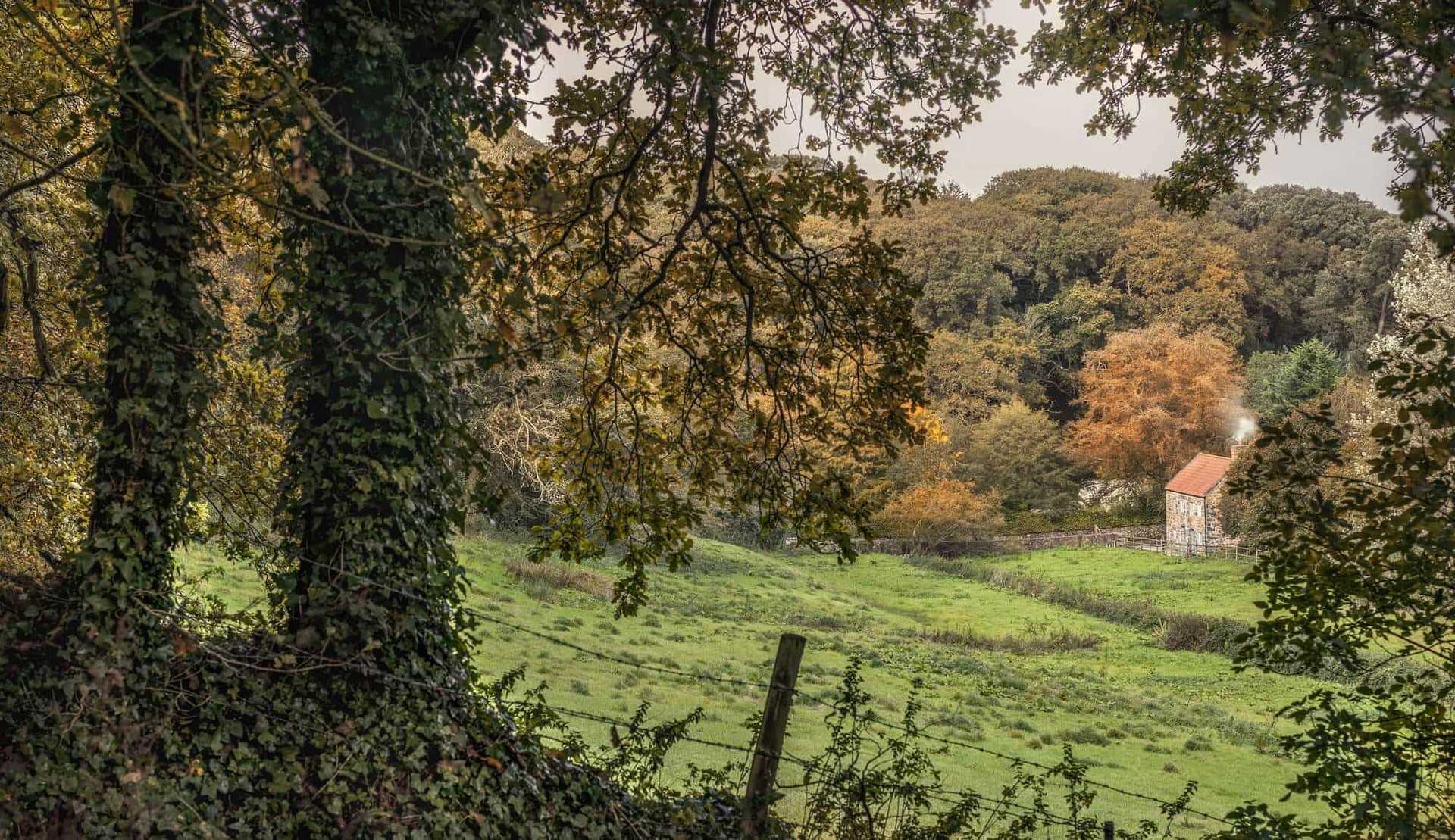 Walking Holidays in England