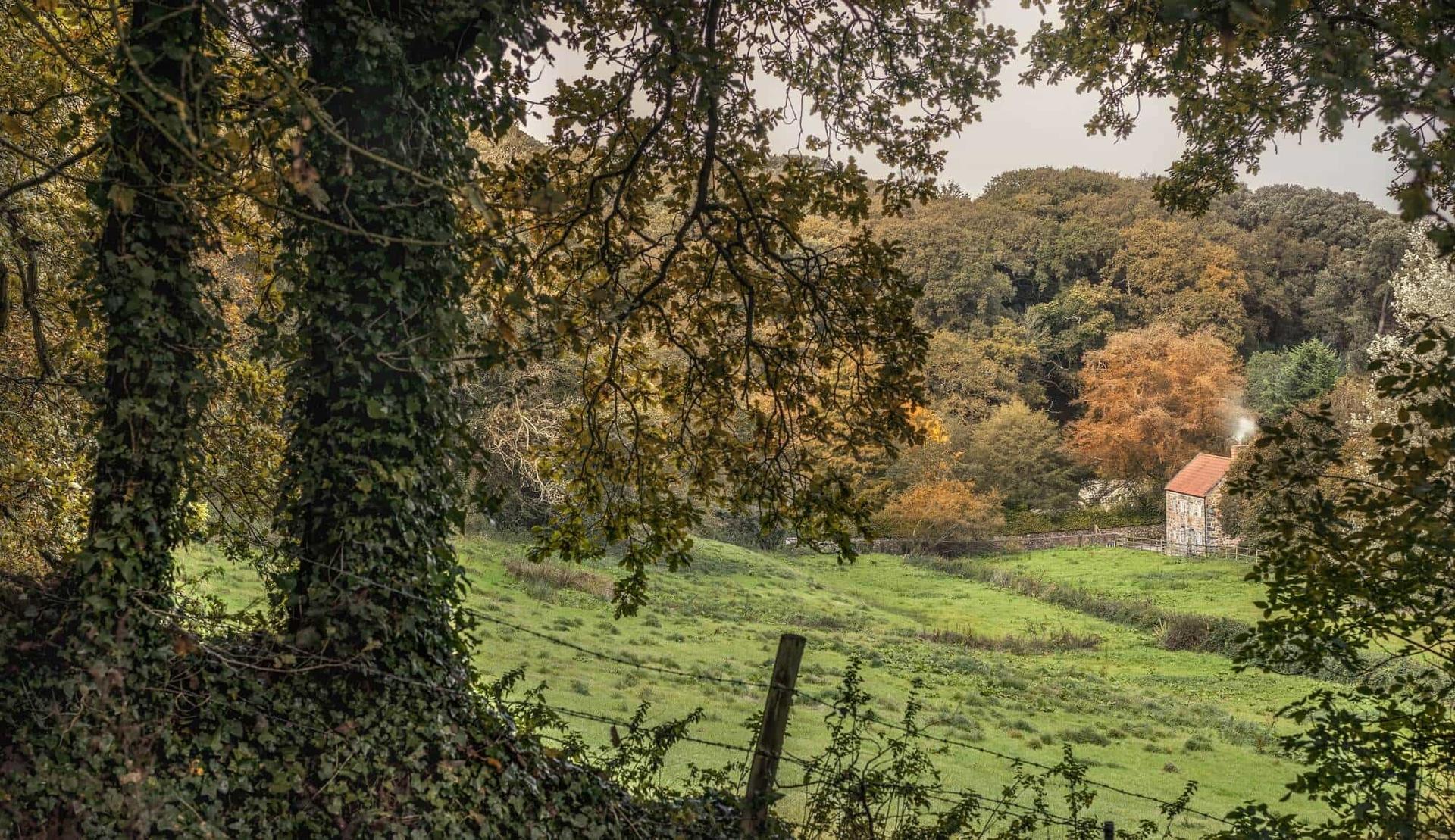 Walking Holidays in England