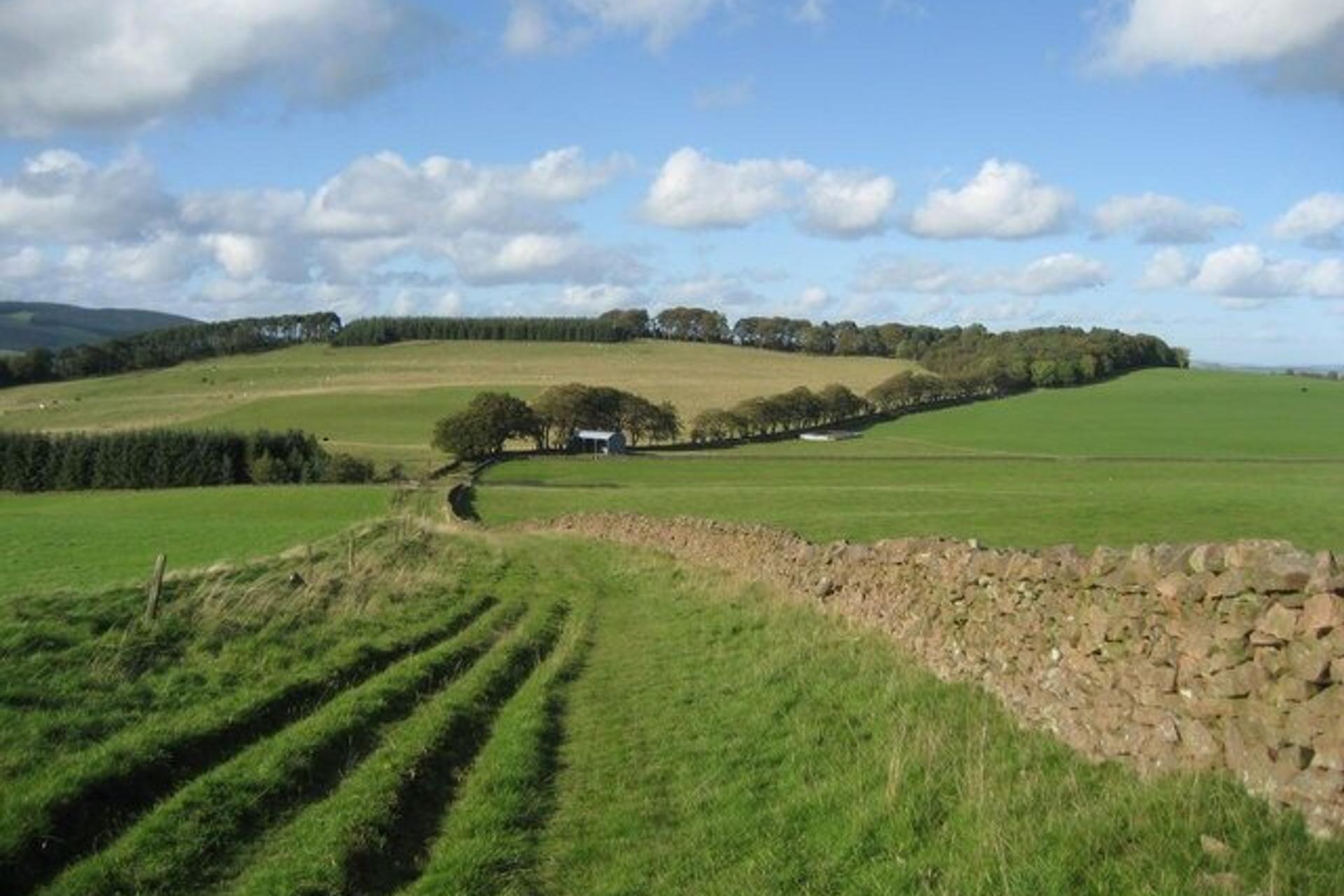 Selkirk-Drove-Road-Border-Abbeys-Way