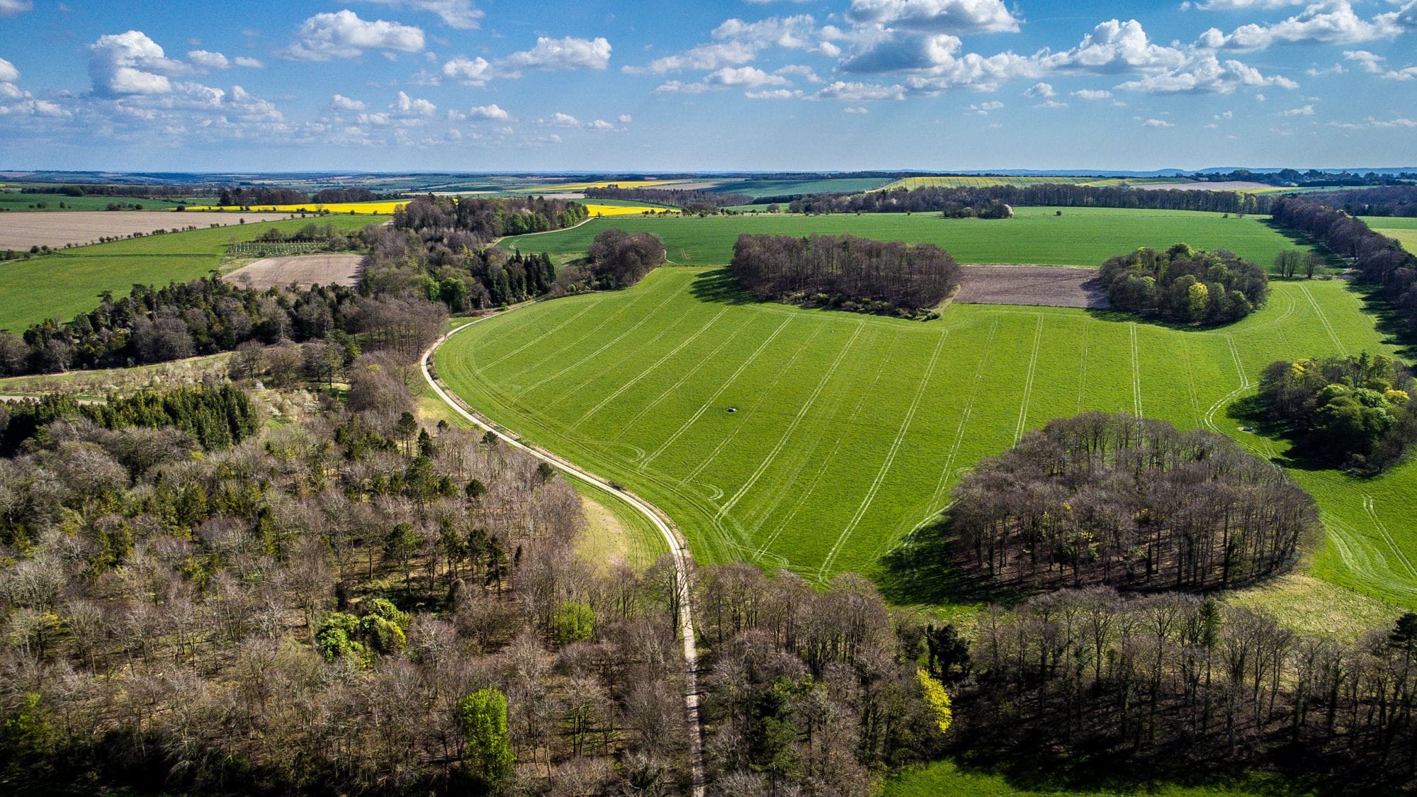 The Ridgeway near Wantage, Oxfordshire