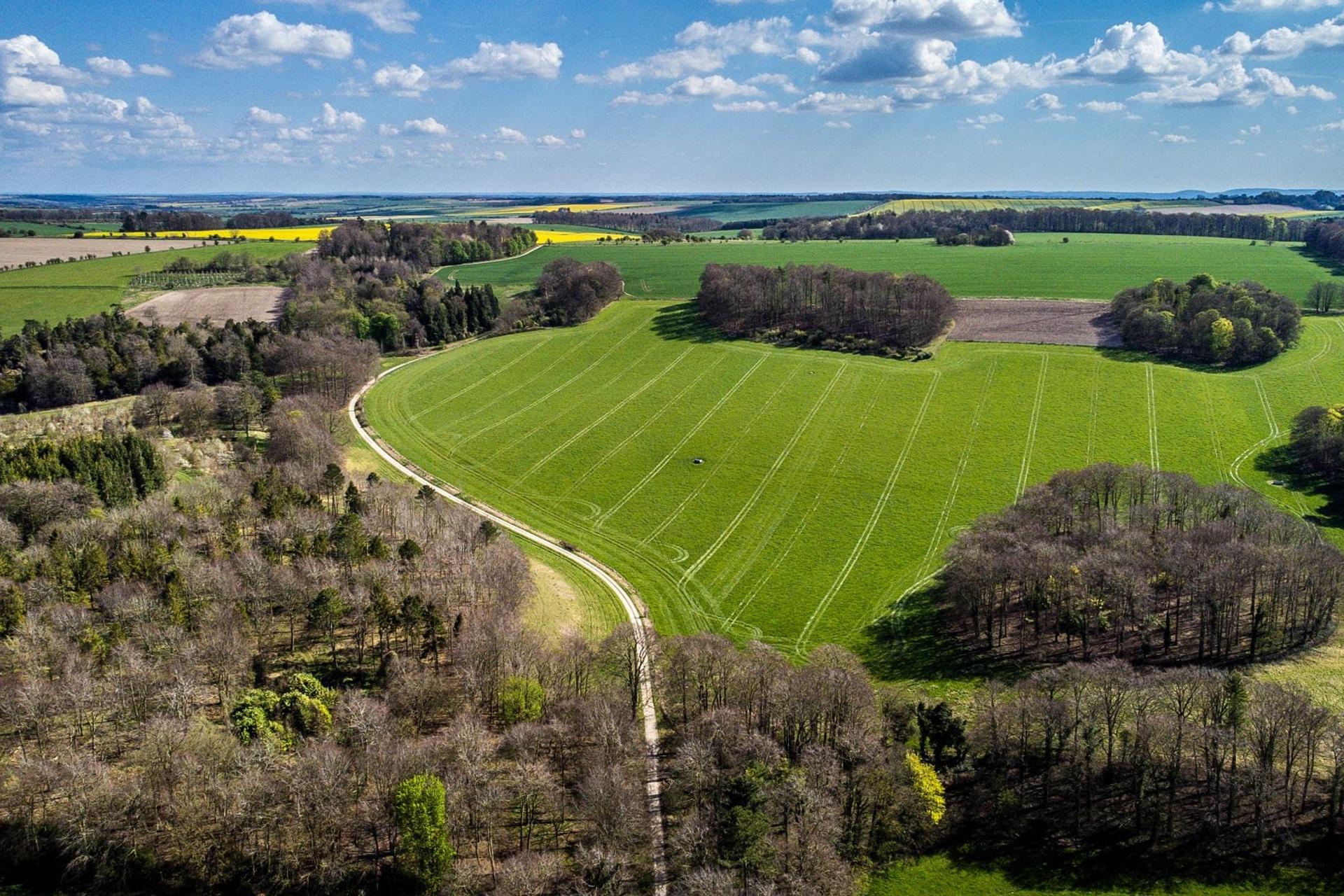 The Ridgeway near Wantage, Oxfordshire