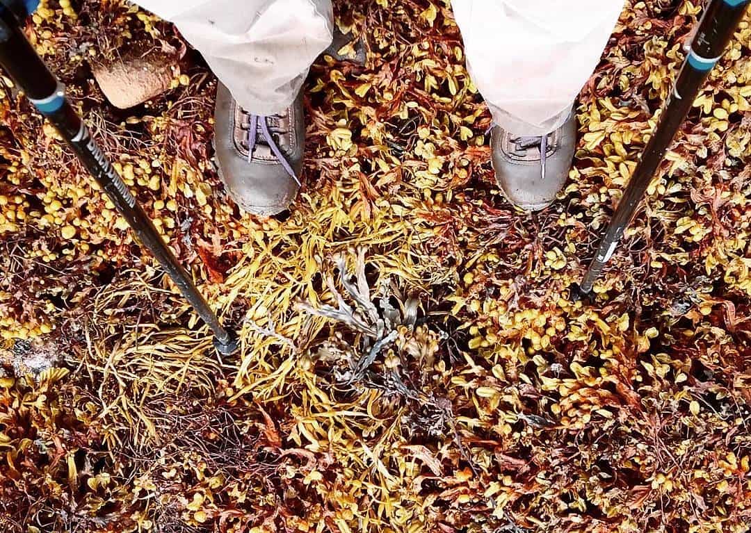 Whiting Bay to Brodick