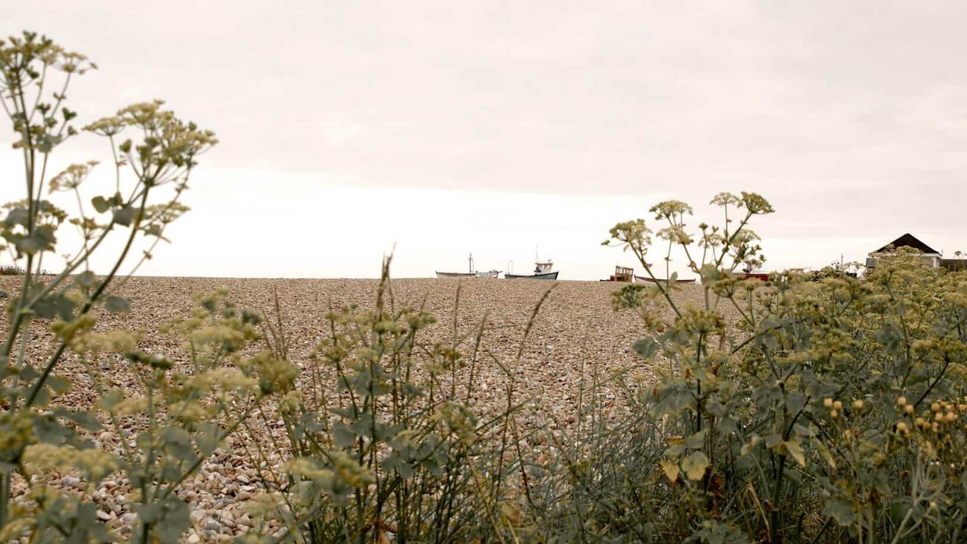 Countryside Scene