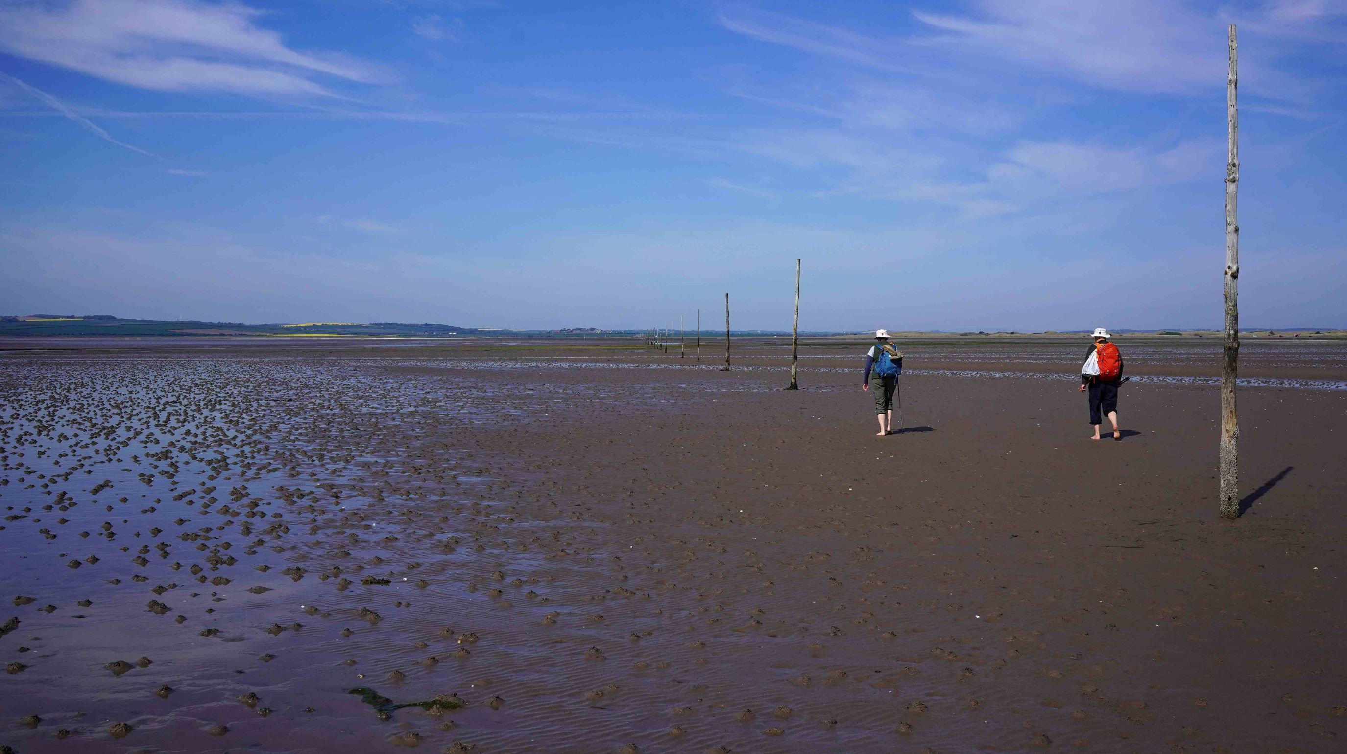 Two people walk across a muddy tidal flat under a blue sky with scattered clouds. Wooden poles are planted in the mud, marking a path.