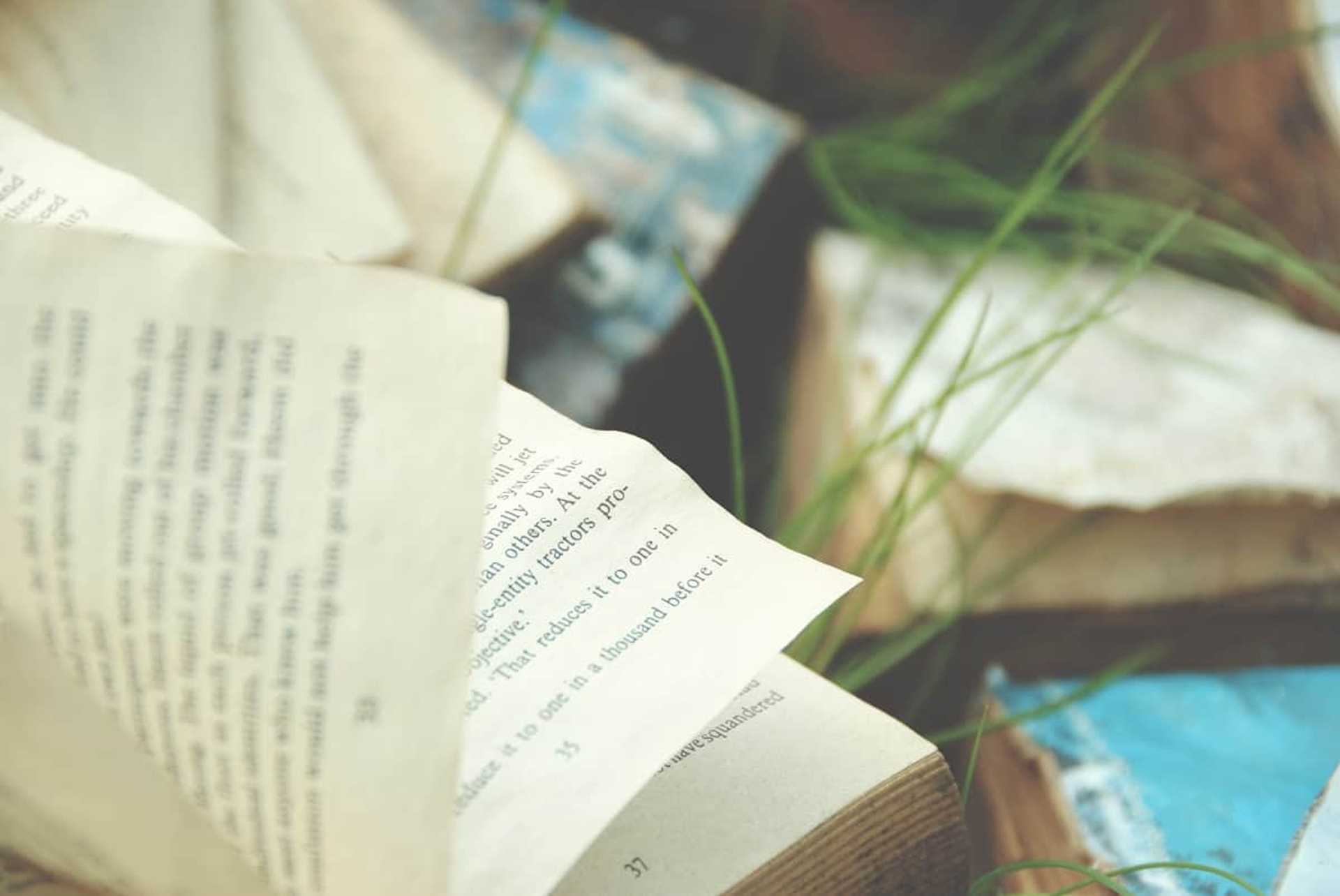 Books in the Grass
