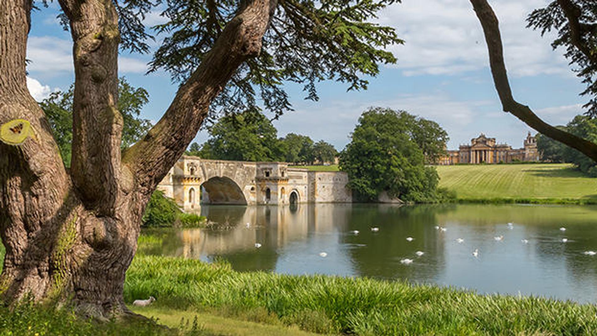 River thames with Blenheim Palace over the bridge