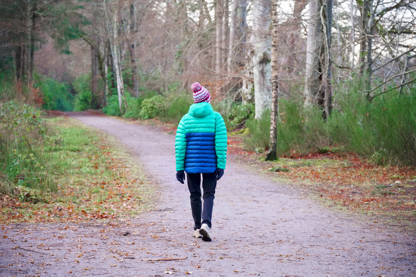 A walker wearing a blue and turquoise jacket and a woolly hat follows a wide woodland path between bare trees and green undergrowth.