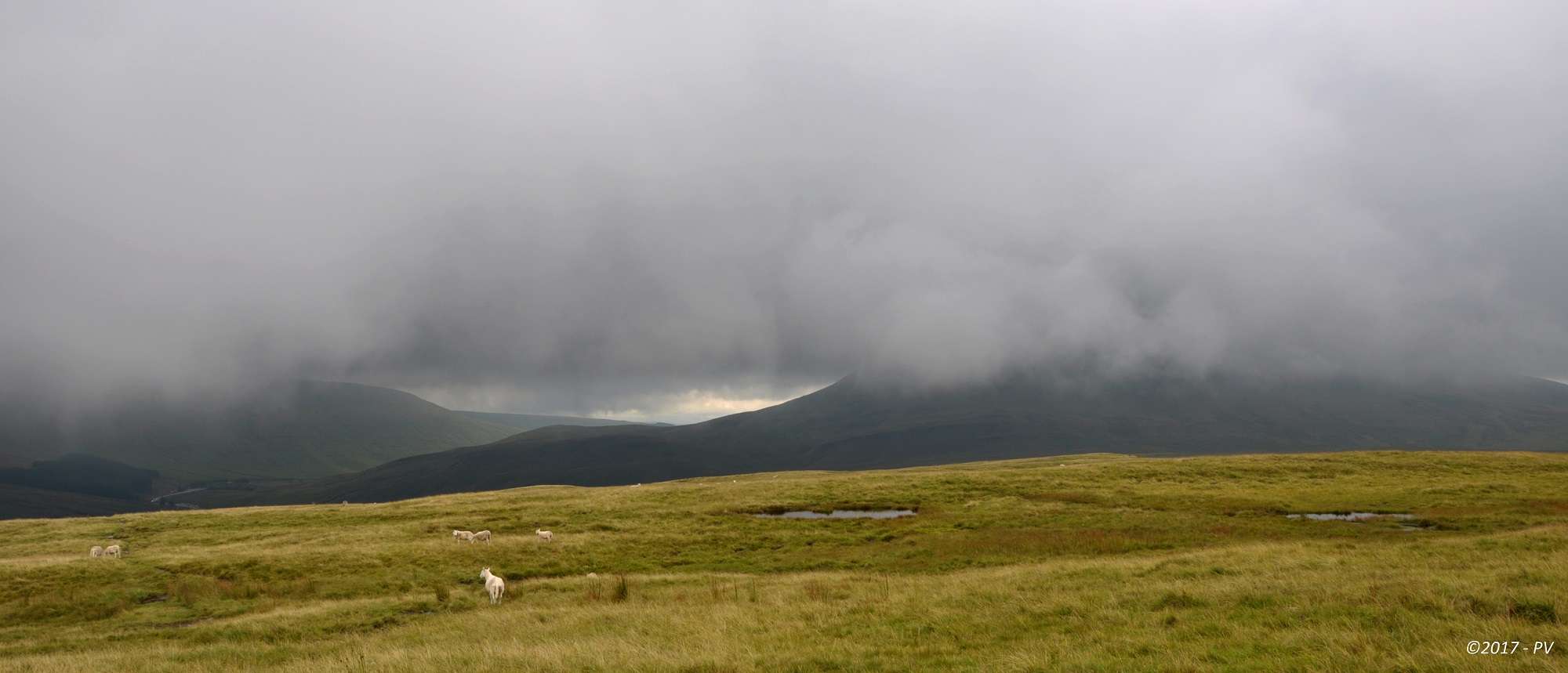 Foggy Welsh landscape