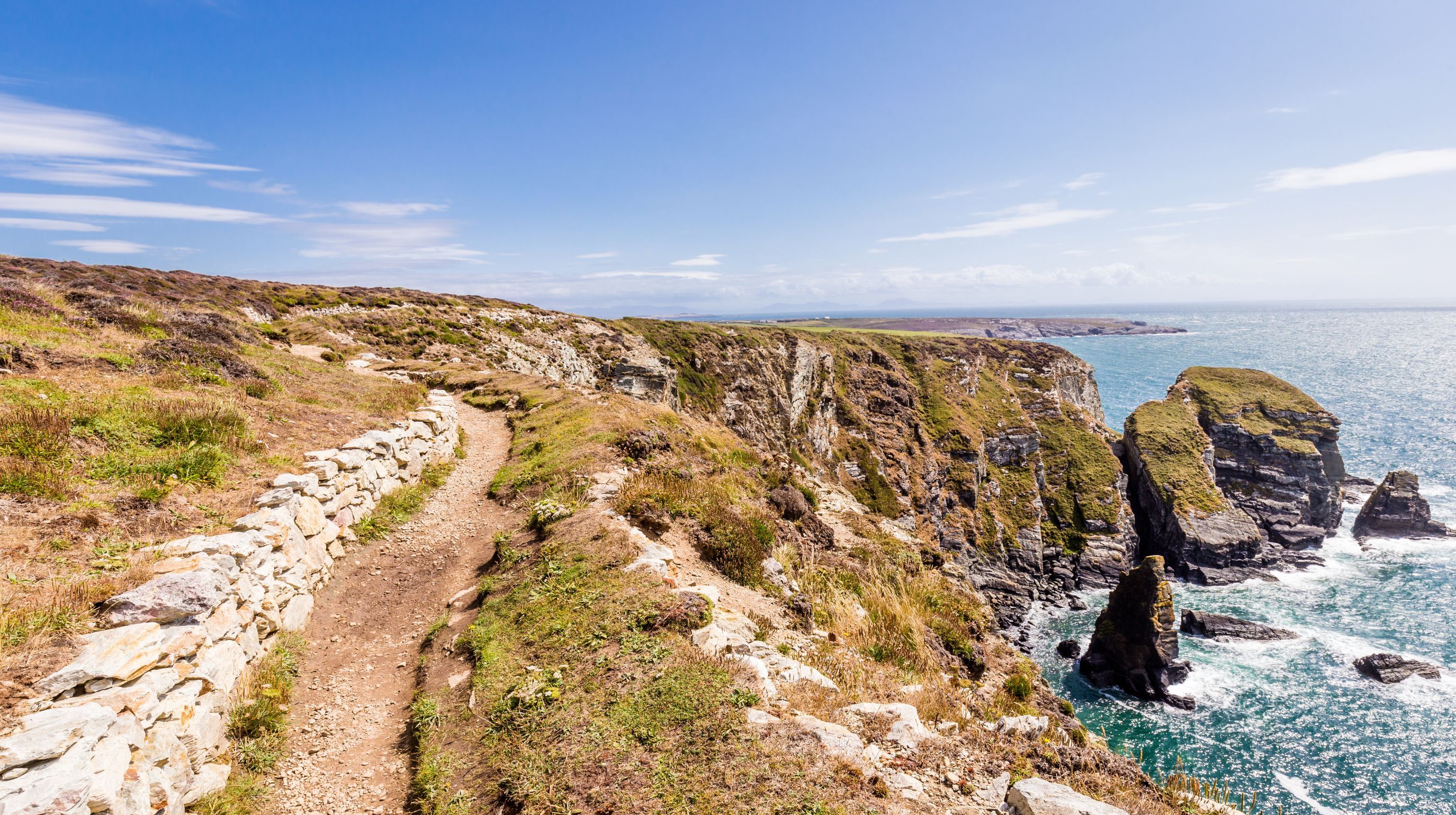 A coastal path winds along a grassy cliff overlooking the ocean with rocky outcrops. The sky is blue with scattered clouds.