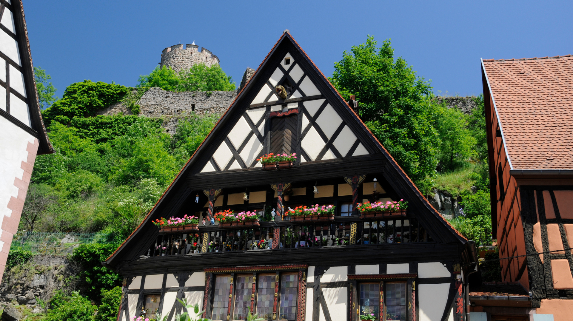 Half-timbered houses in Kaysersberg with castle ruins above