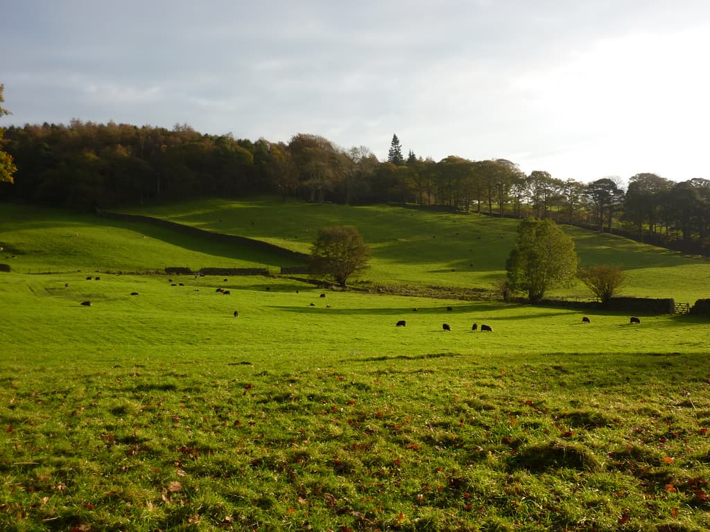 Walking holidays in the Lake District