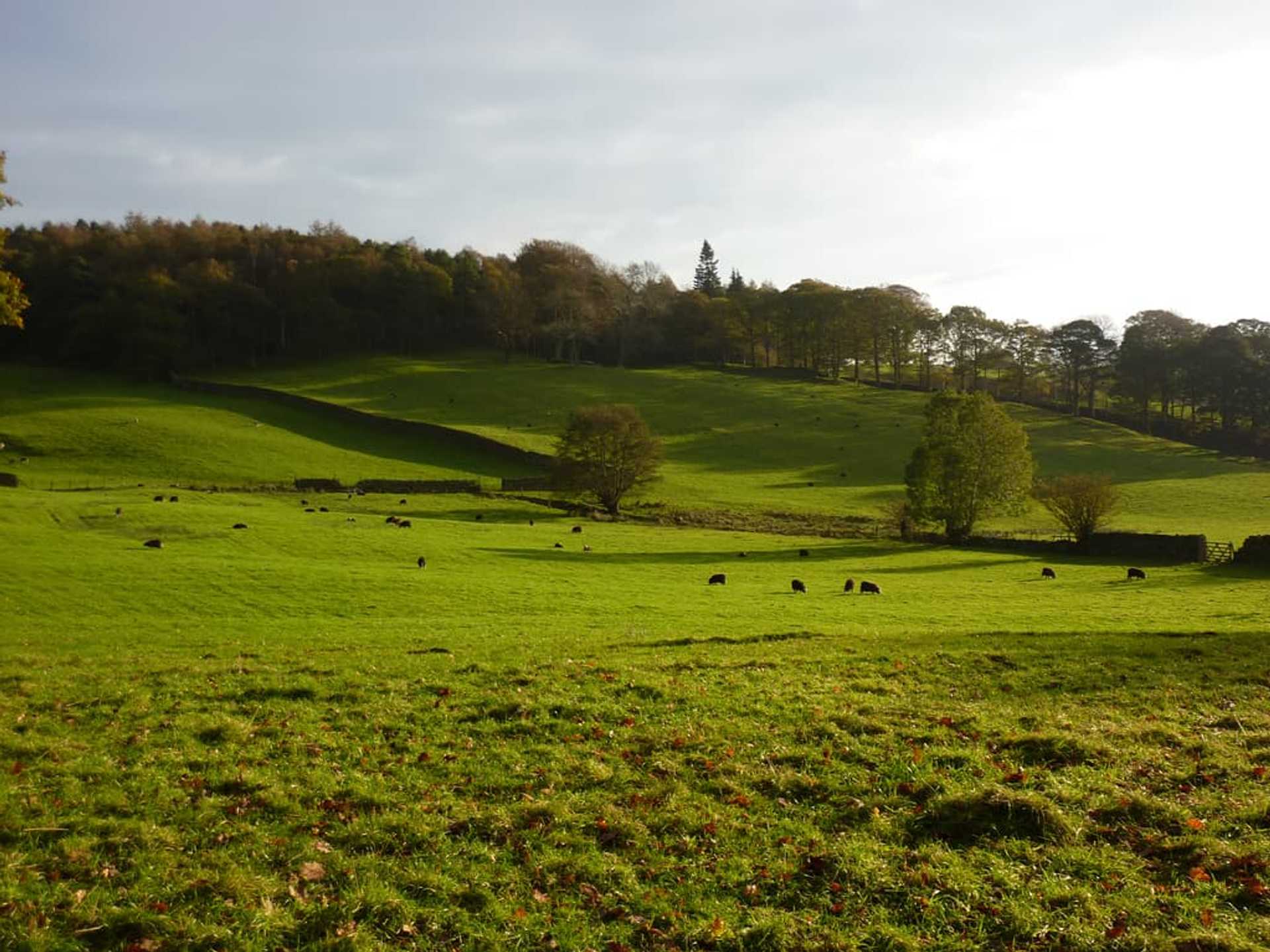 Walking holidays in the Lake District