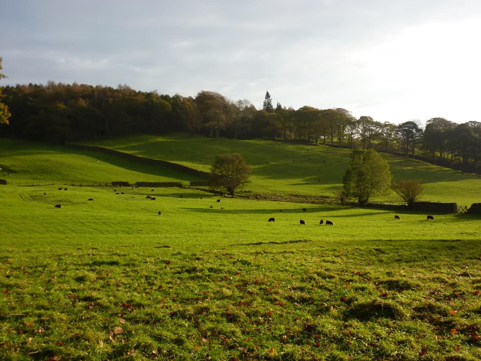 Walking holidays in the Lake District