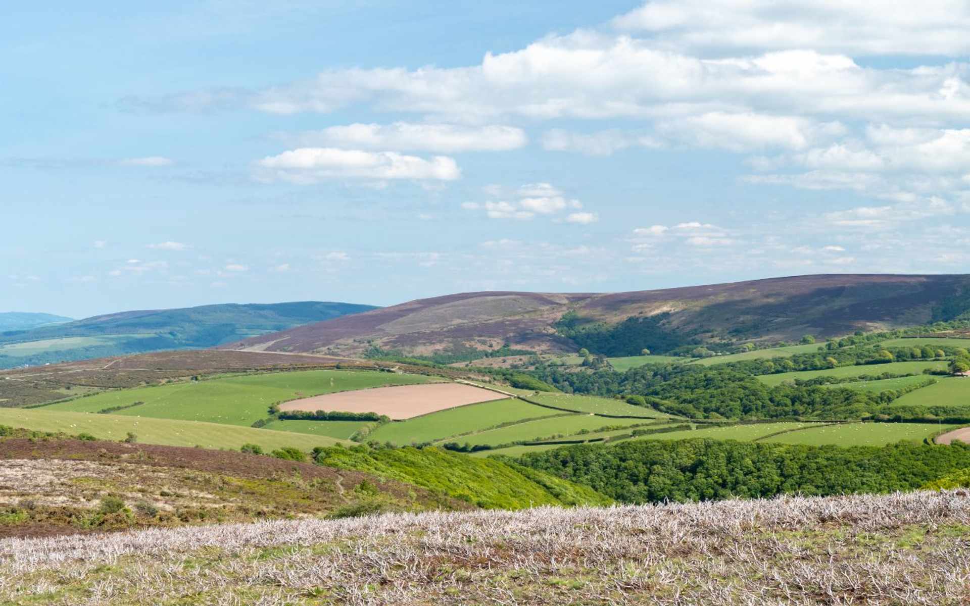 Rolling Exmoor hills with patchwork farmland and open moorland under wide skies