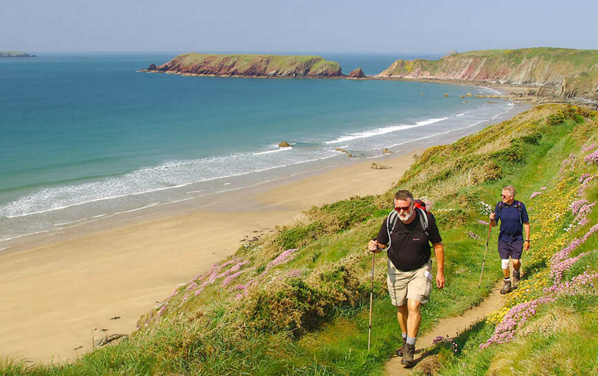 Pembrokeshire Coast Path following green cliffs above the sea.
