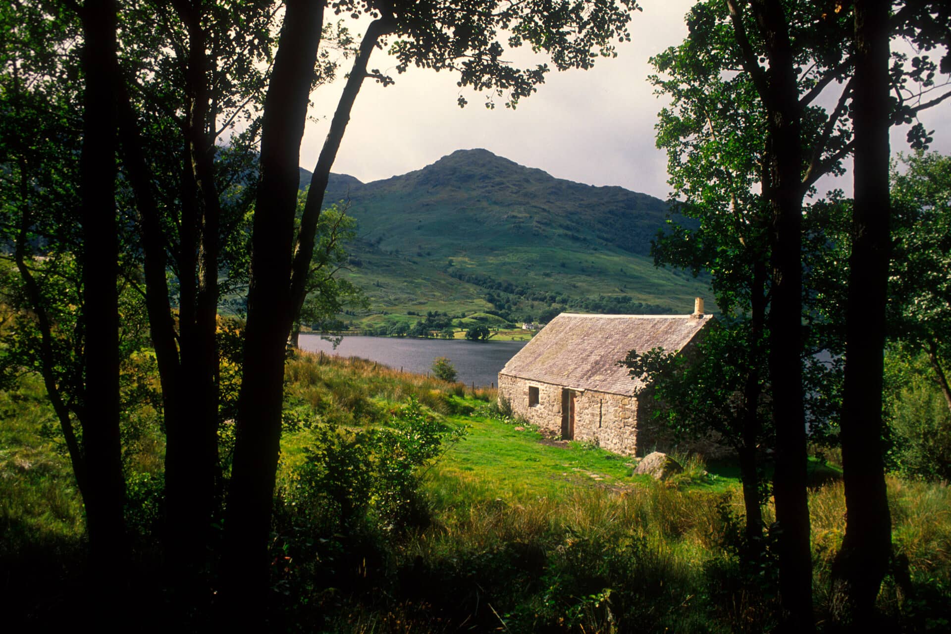 Looking through forest clearing toward Loch Lomond